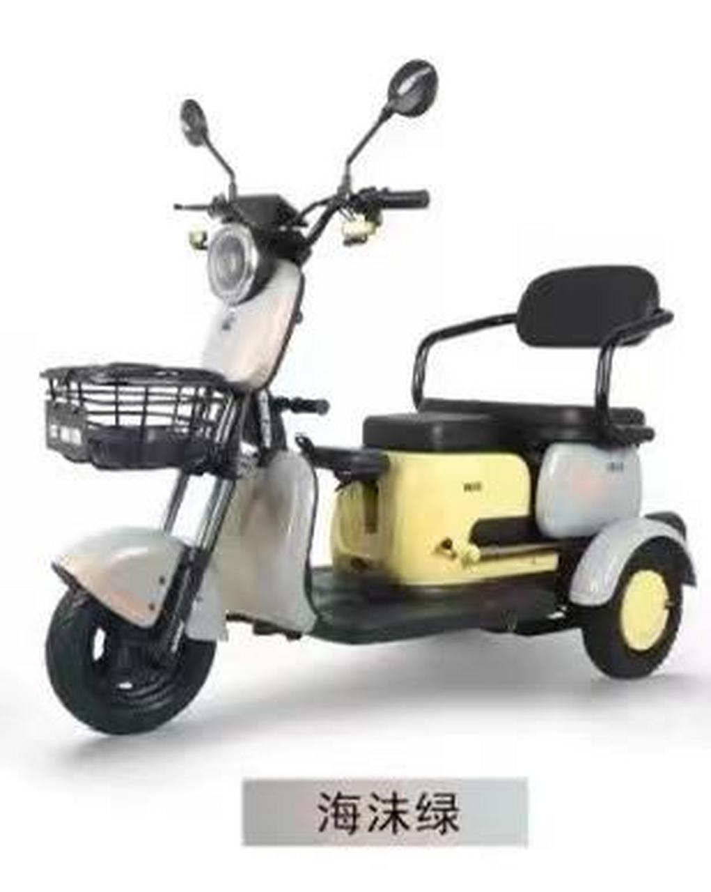 新国标电动车 赛鸽电动休闲三轮车