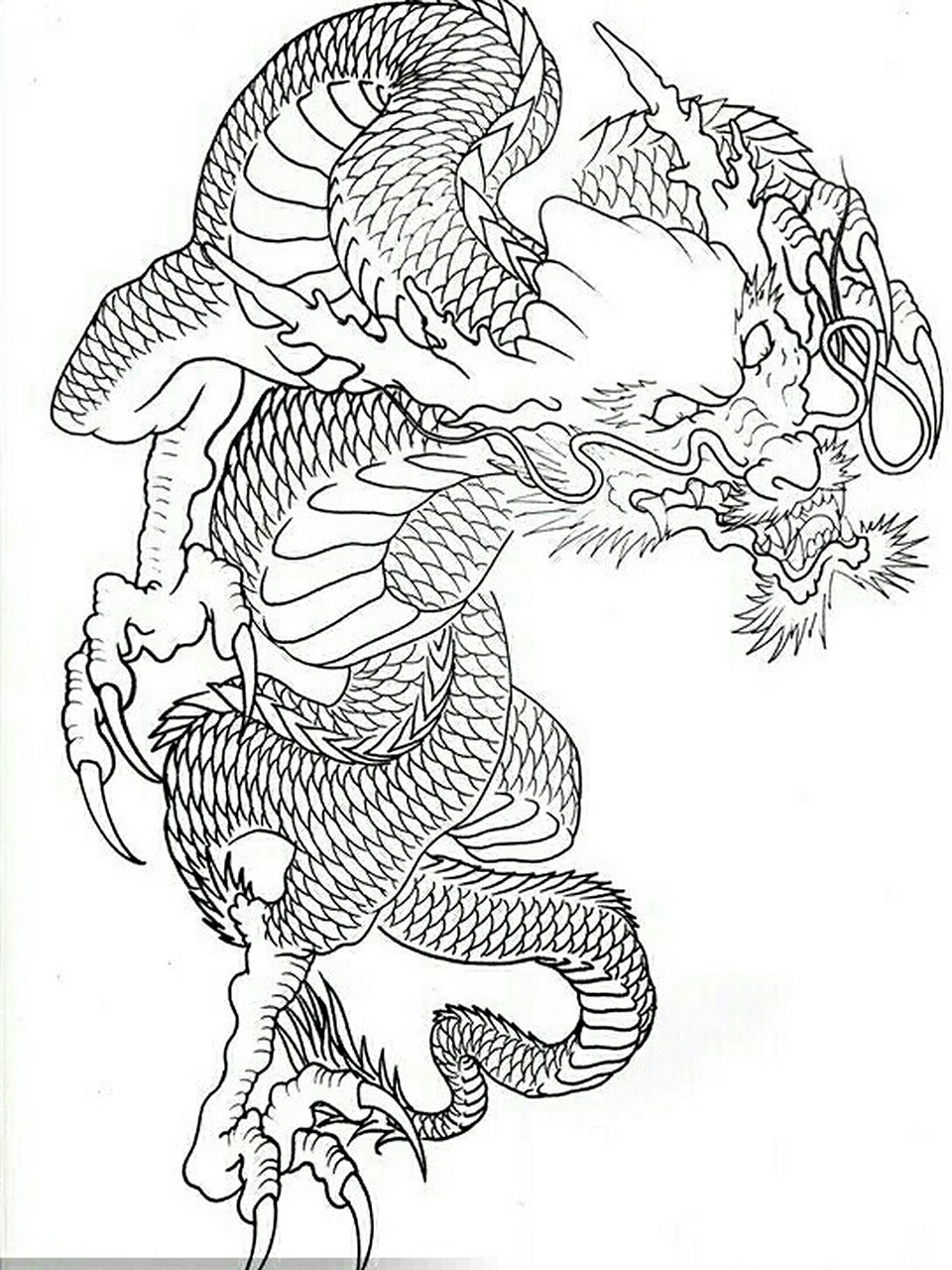 龙纹身.过肩龙纹身手稿 半胛