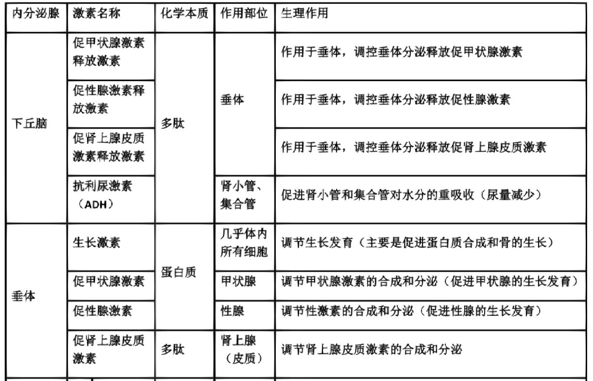 选择性必修一激素调节中重要激素总结!