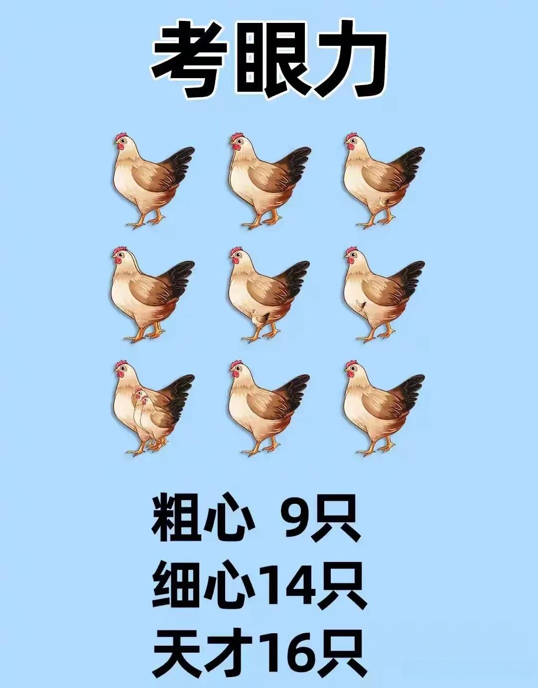 极限眼力挑战开始啦!看着这幅图,你能告诉我里面到底藏了多少只鸡吗?