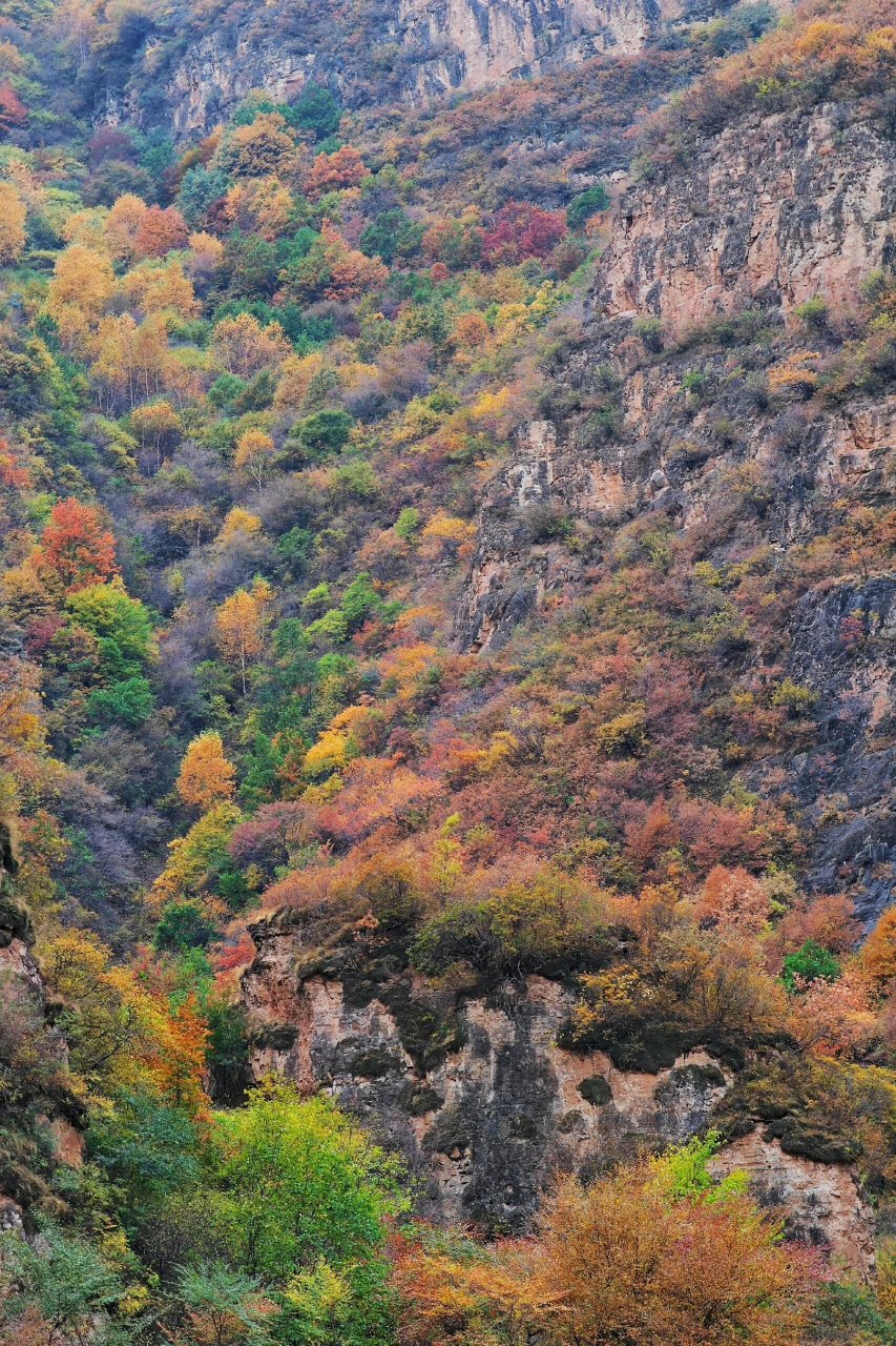 秋染飞狐陉 | 河北蔚县 飞狐陉,又名飞狐峪,飞狐口,古"太行八陉"之一.