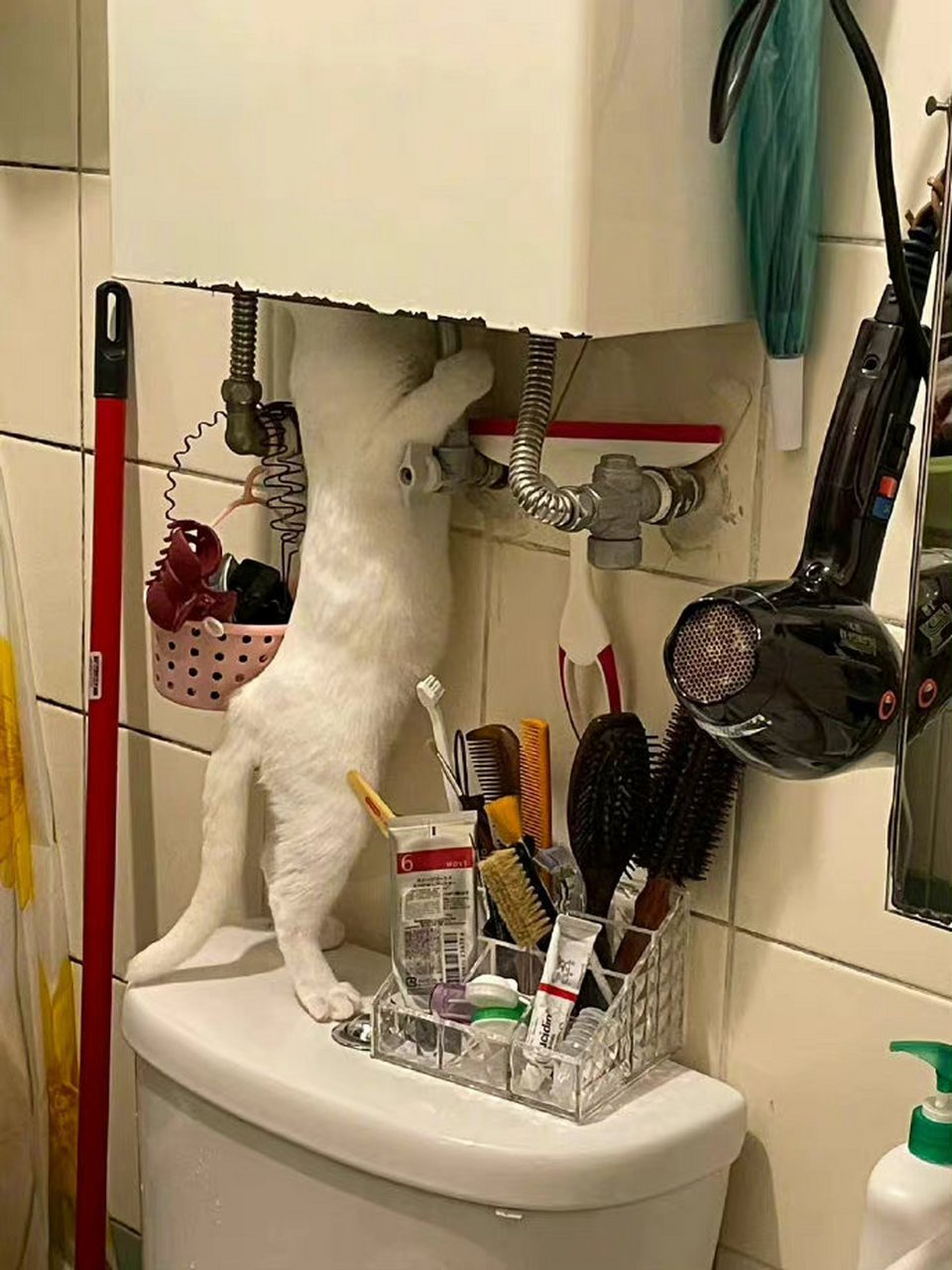 师傅好认真地检查热水器