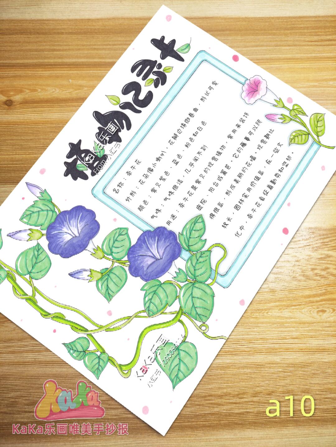 牵牛花名片模板a10