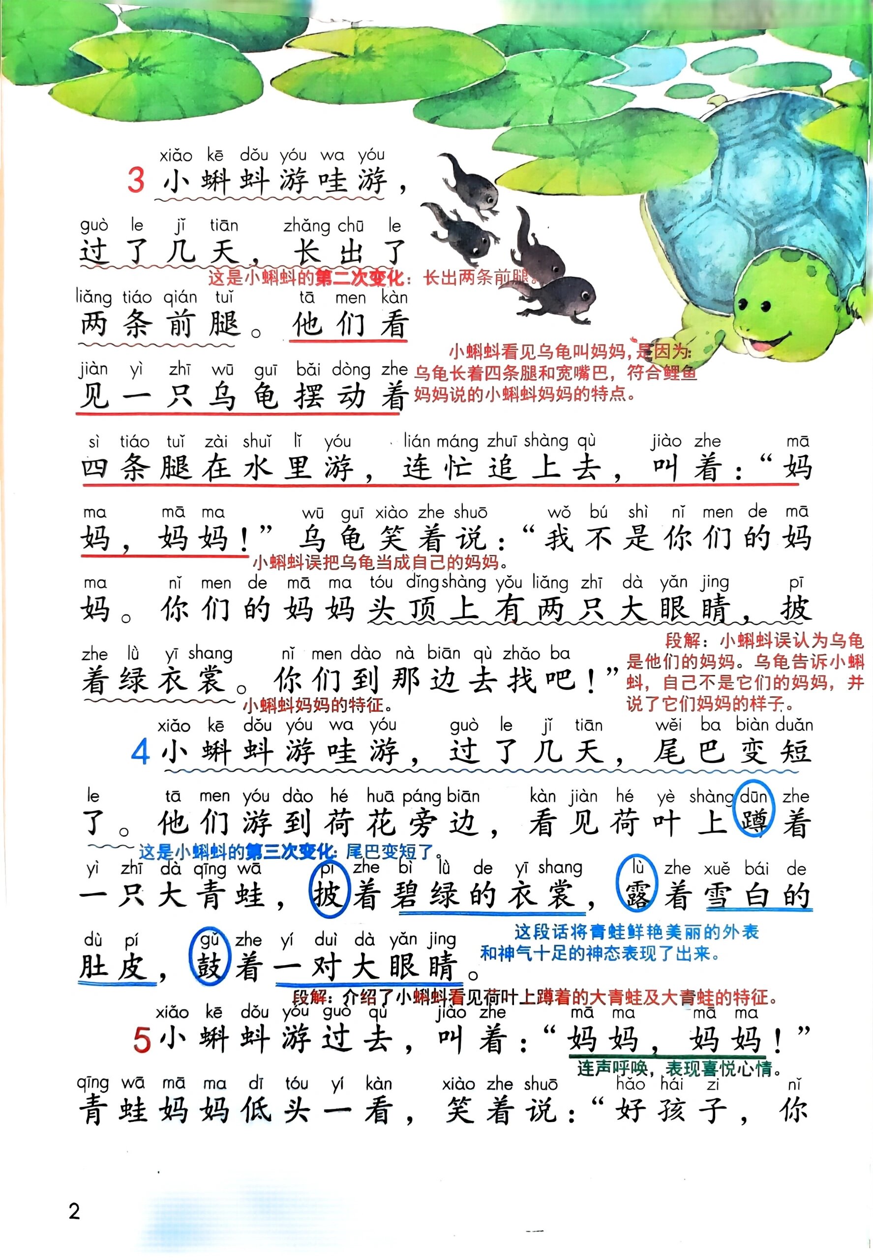 《小蝌蚪找妈妈》 二年级上册部编版课文解析及课后题目解读