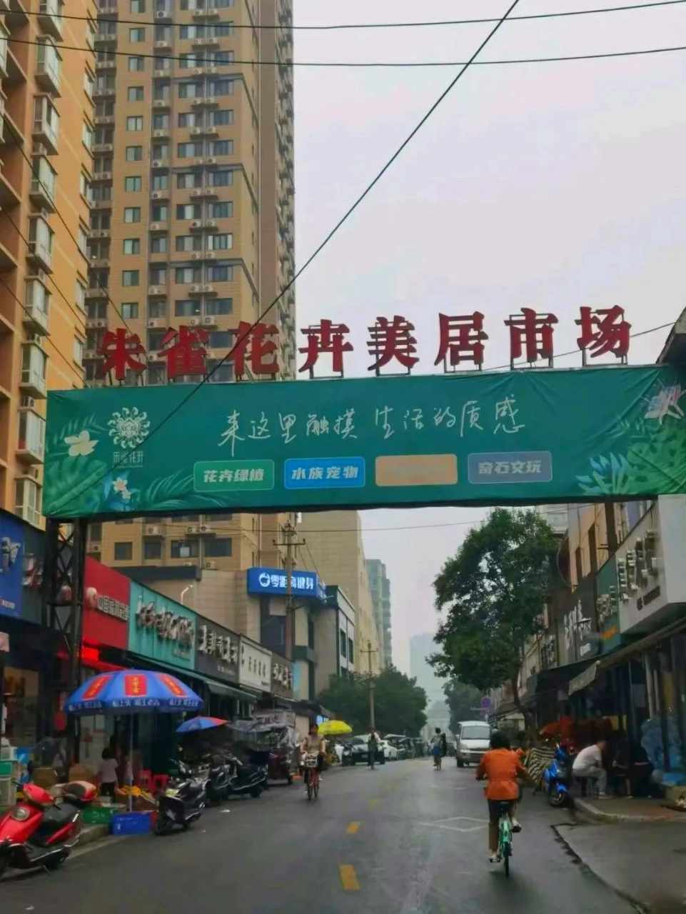 朱雀路古玩市场图片