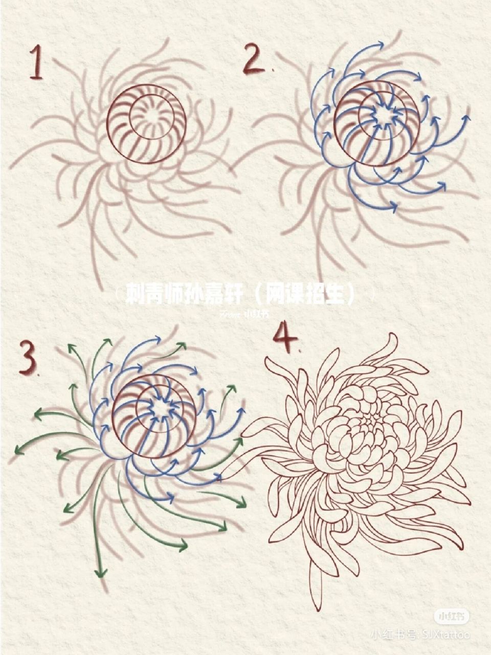 基础小白菊花教程分解图分享