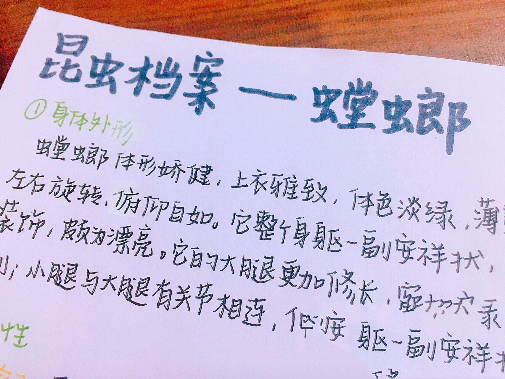 《昆虫记》昆虫档案——蝉,螳螂,大孔雀蝴蝶