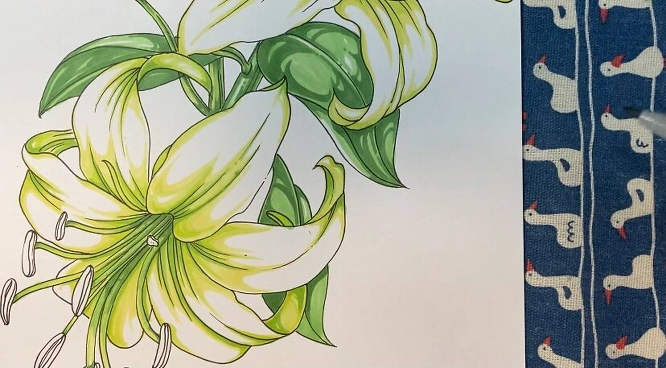 马克笔上色技法|花卉素材|百合花 线稿配色都在里面啦,我是不是想得很