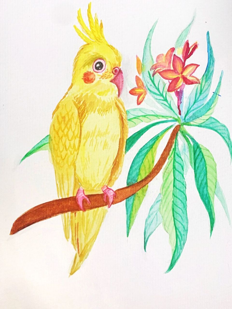 鹦鹉水彩 #水彩# #鹦鹉##水彩鸟