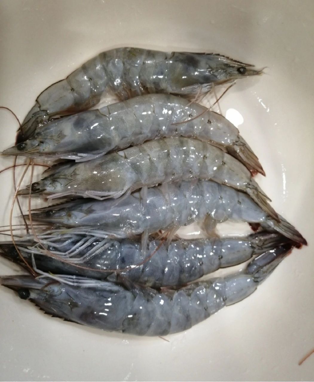 今天被评论区的姐妹问到,活虾煮熟后虾头变黑是什么原因?