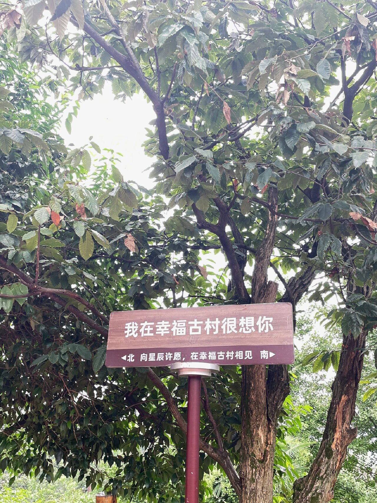 成都周边小众徒步亲子游-丹棱幸福古村
