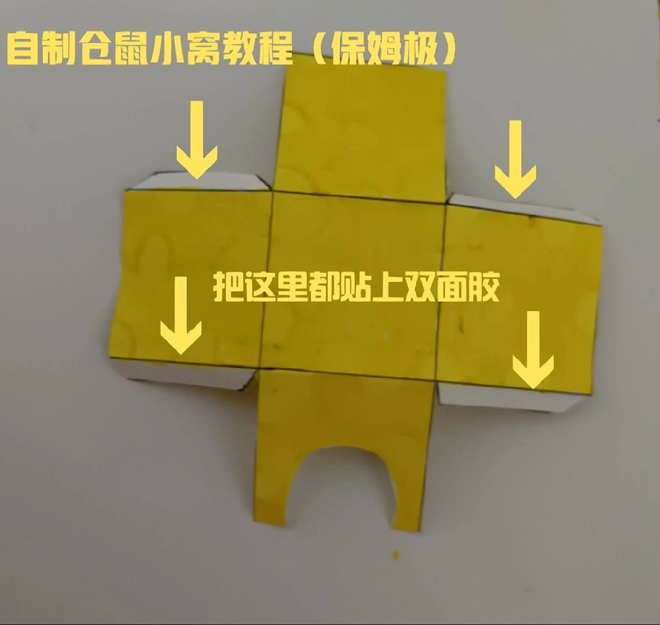 自制仓鼠小窝教程来啦!