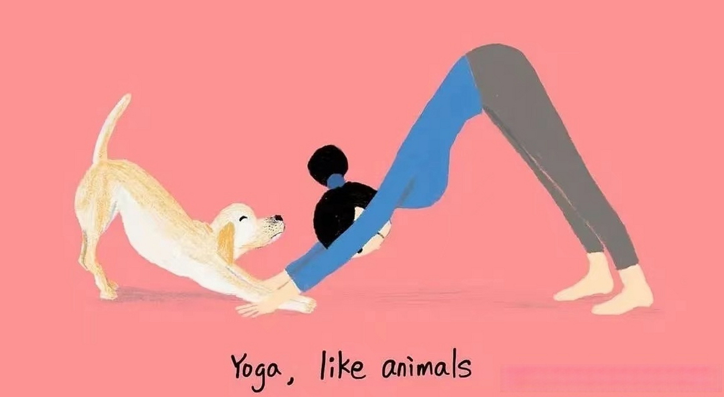 瑜伽体式中模仿动物的大智慧 例如虎式,猫式,蛇式,神猴,马式,龟式式