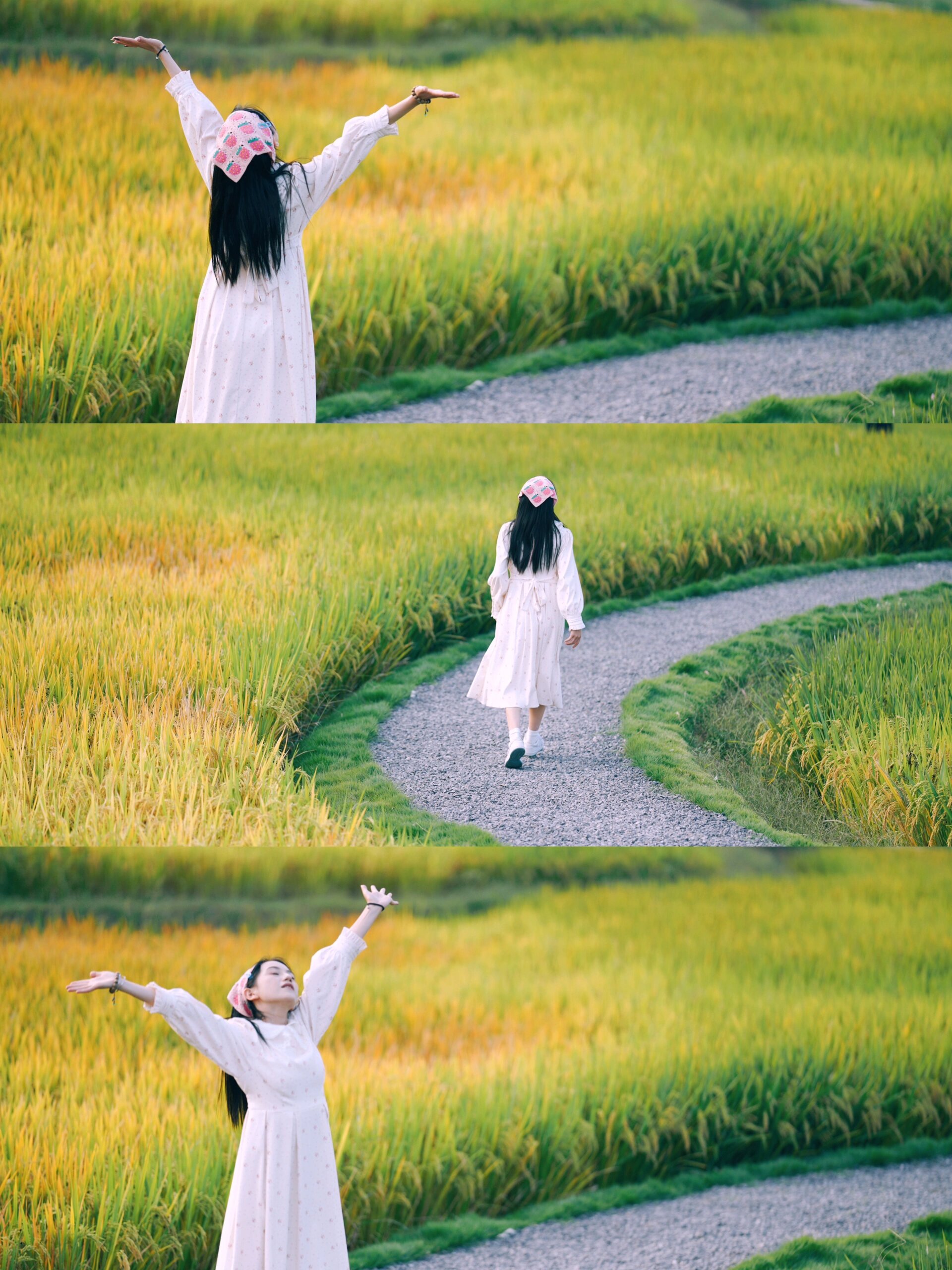 是童话里的麦田呀91     直接导航成都龙泉阳光城郑家院子,有一大片