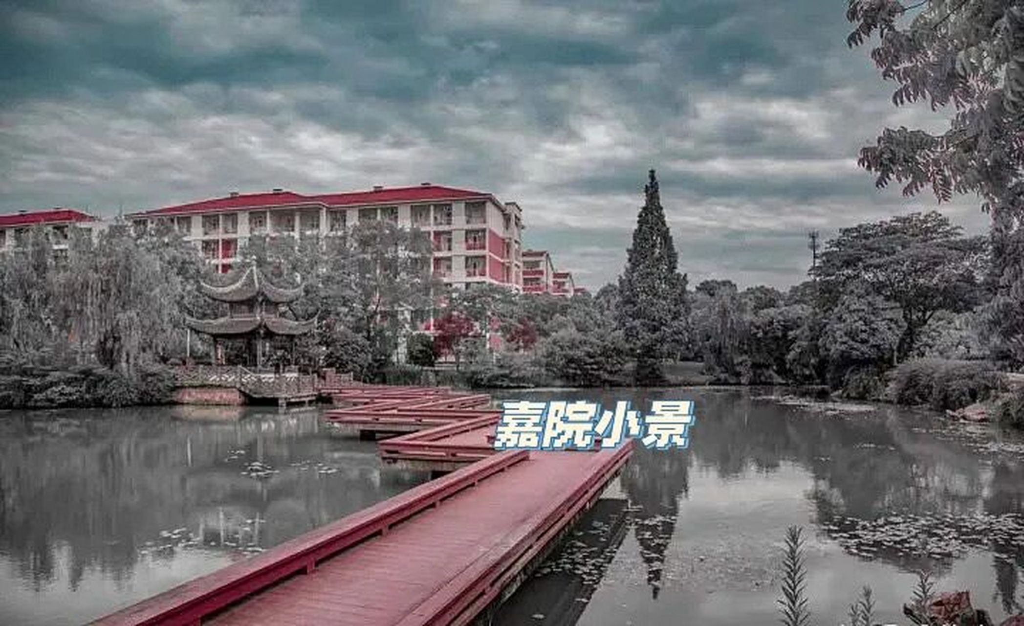 嘉兴学院 嘉兴学院梁林一期来了,小伙伴们等的有点久了 p1.