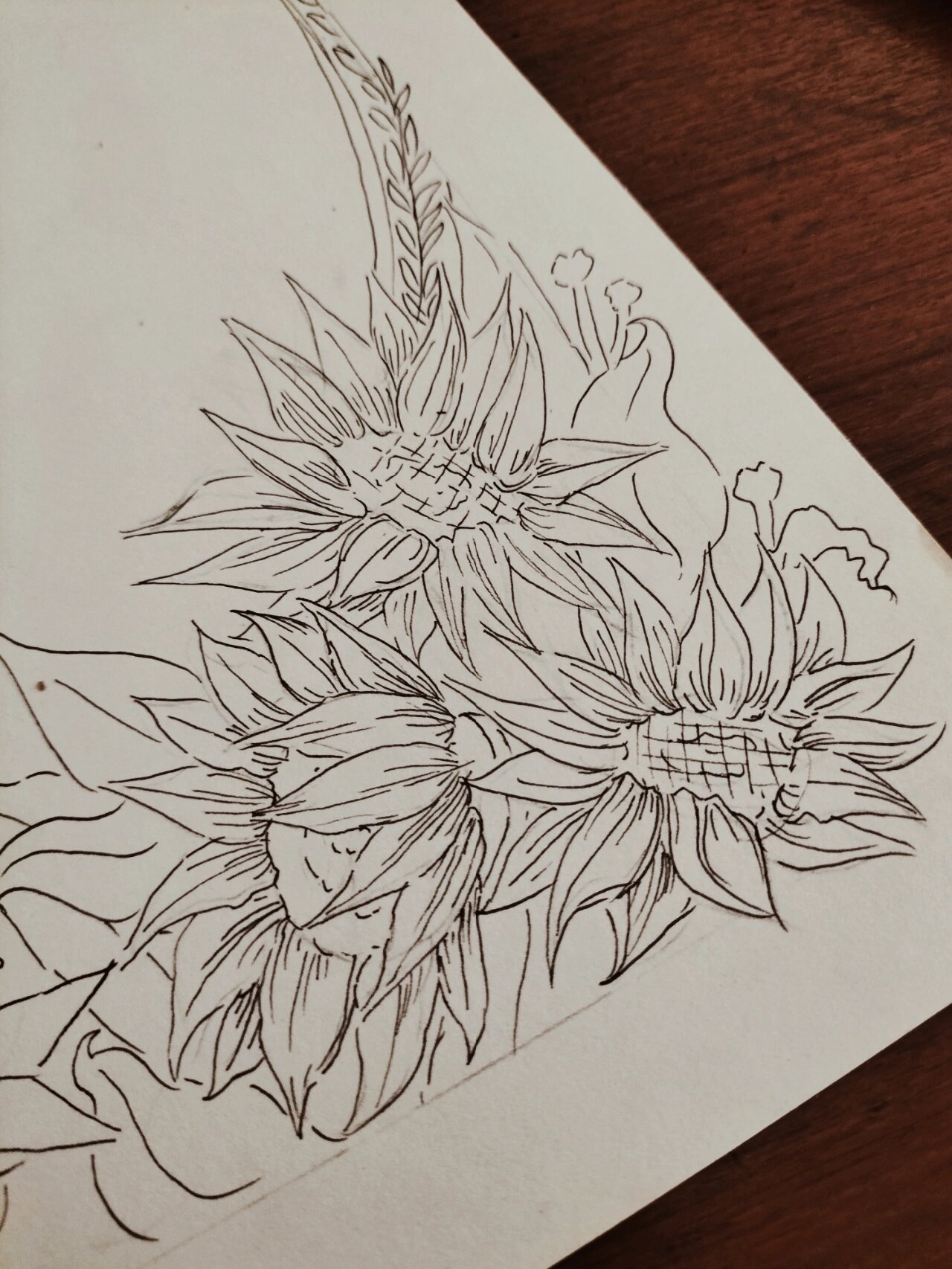 珍爱生命手抄报