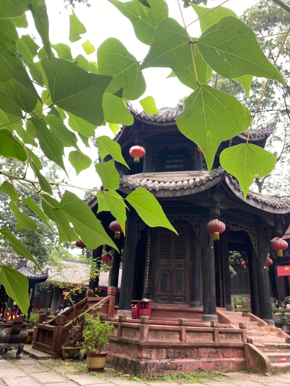 去最近的宝藏景点～新津半日游 睡个懒觉起床开车半小时,到新津吃个