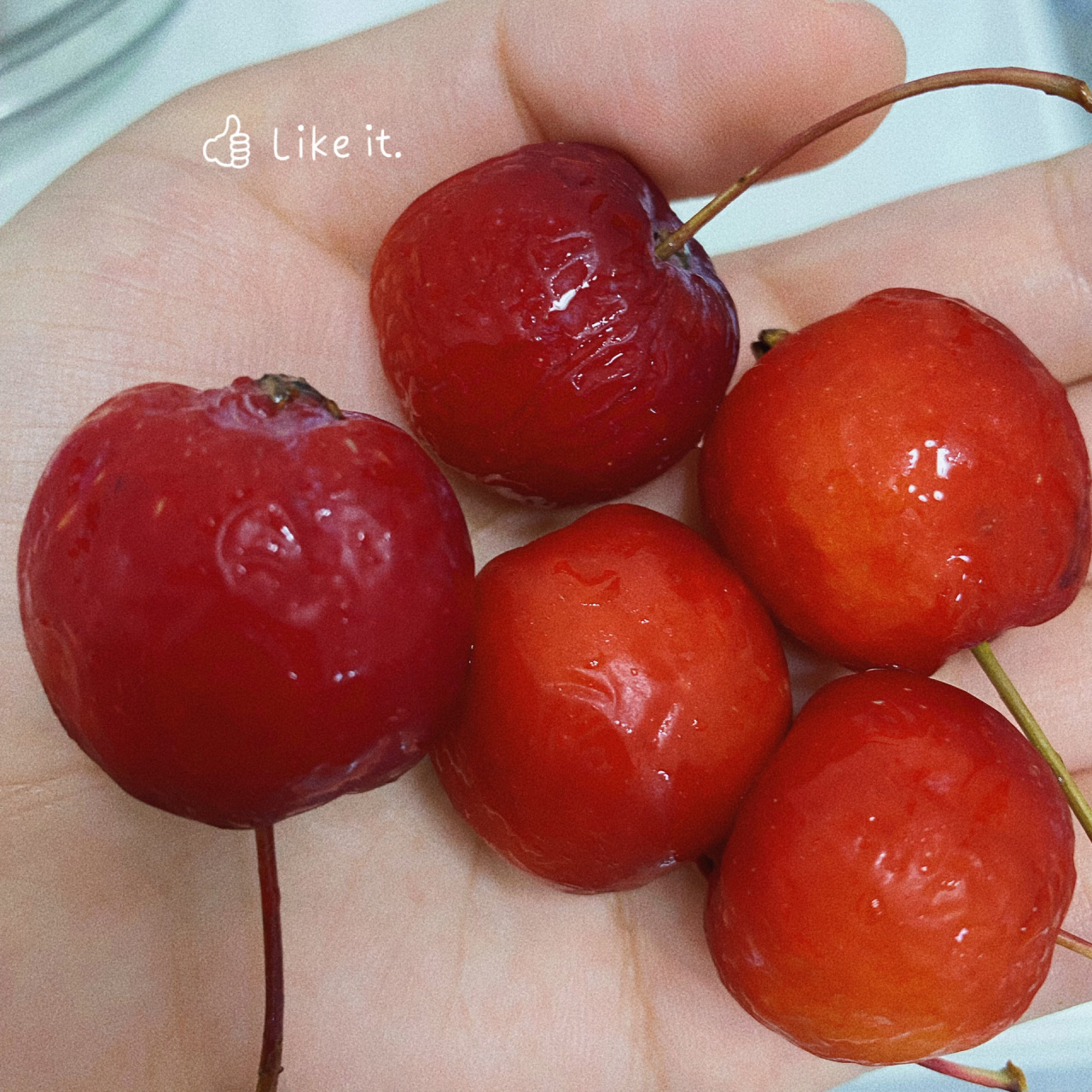 童年的味道—东北冻花红 好多年没吃了,还是那个味道,酸酸的