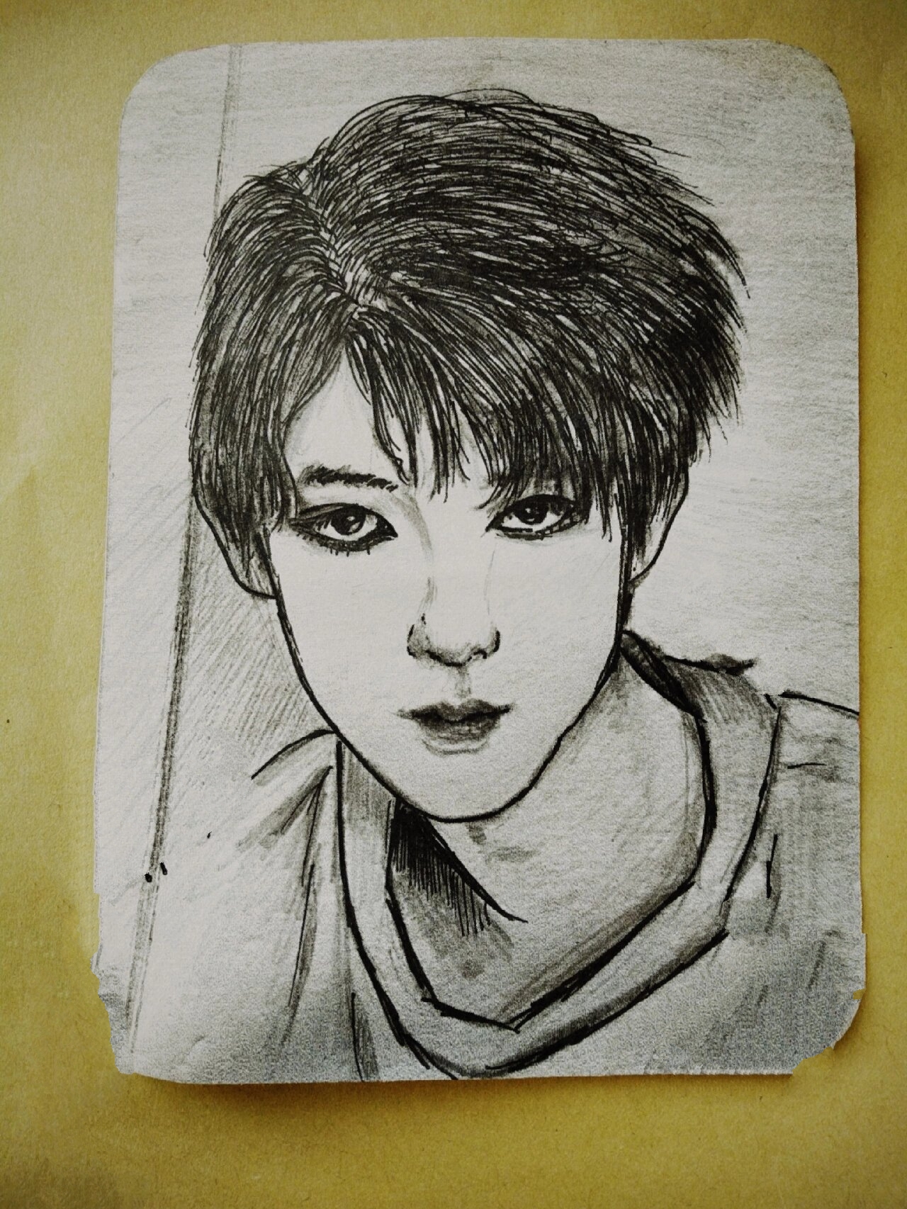 贺峻霖素描画 材料:黑笔,铅笔