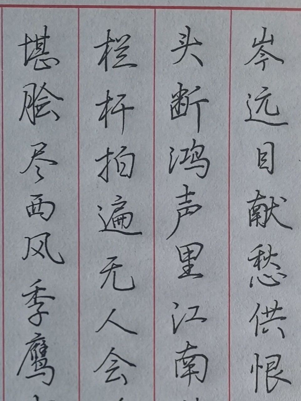 5 针管中性笔书写 辛弃疾《水龙吟·登建康赏心亭》 #练字