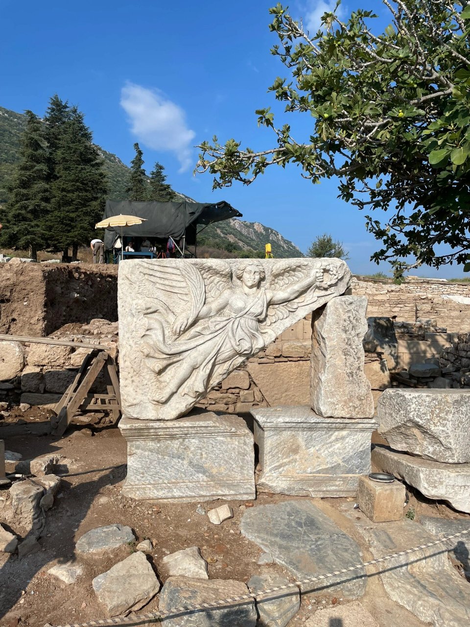 土耳其|以弗所古城遺址 9593 以弗所(ephesus(efes)是古希臘與人