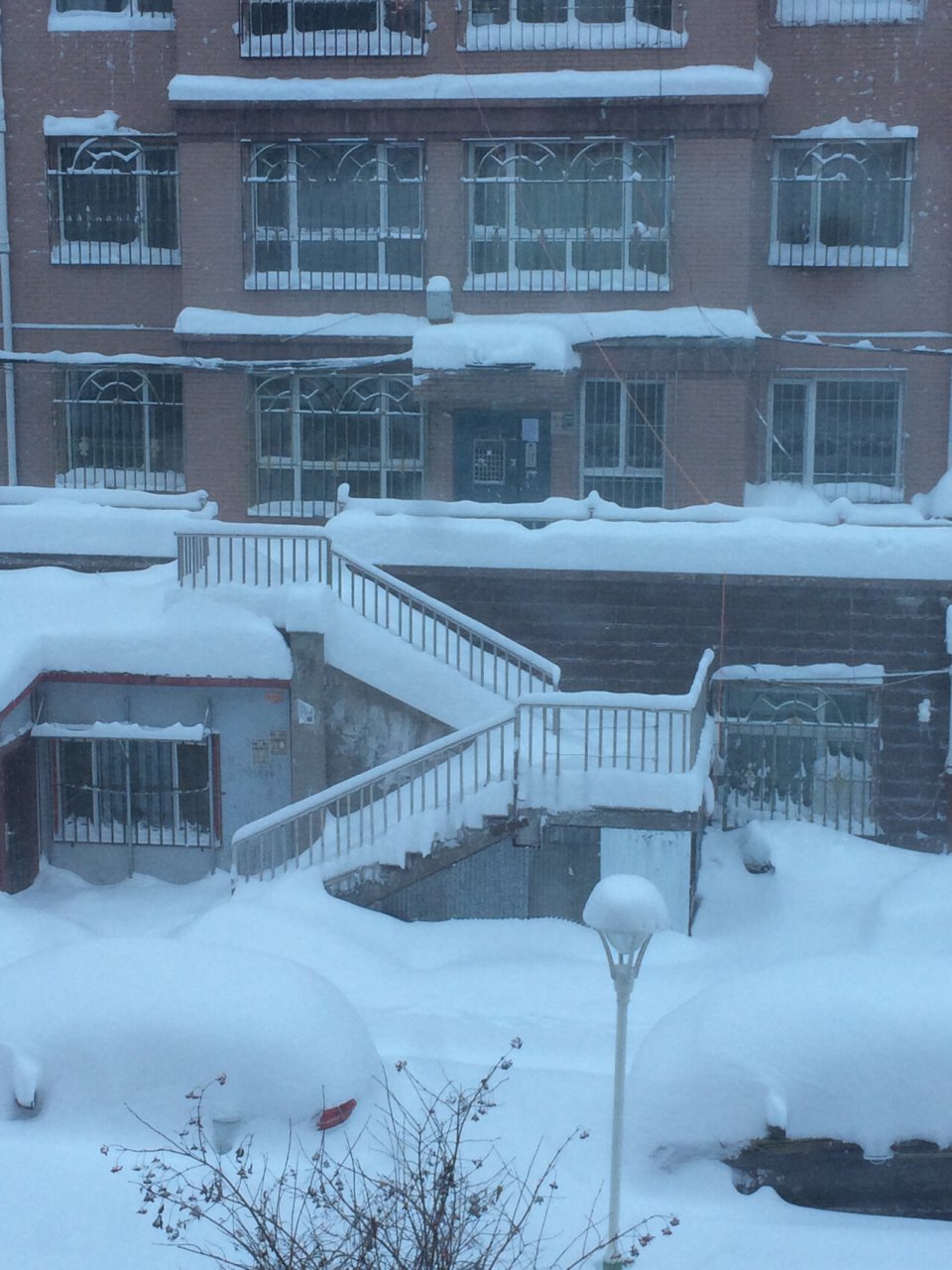 黑龙江暴雪 坐标黑龙江省佳木斯市富锦,三十多岁了第一次见到这么大雪