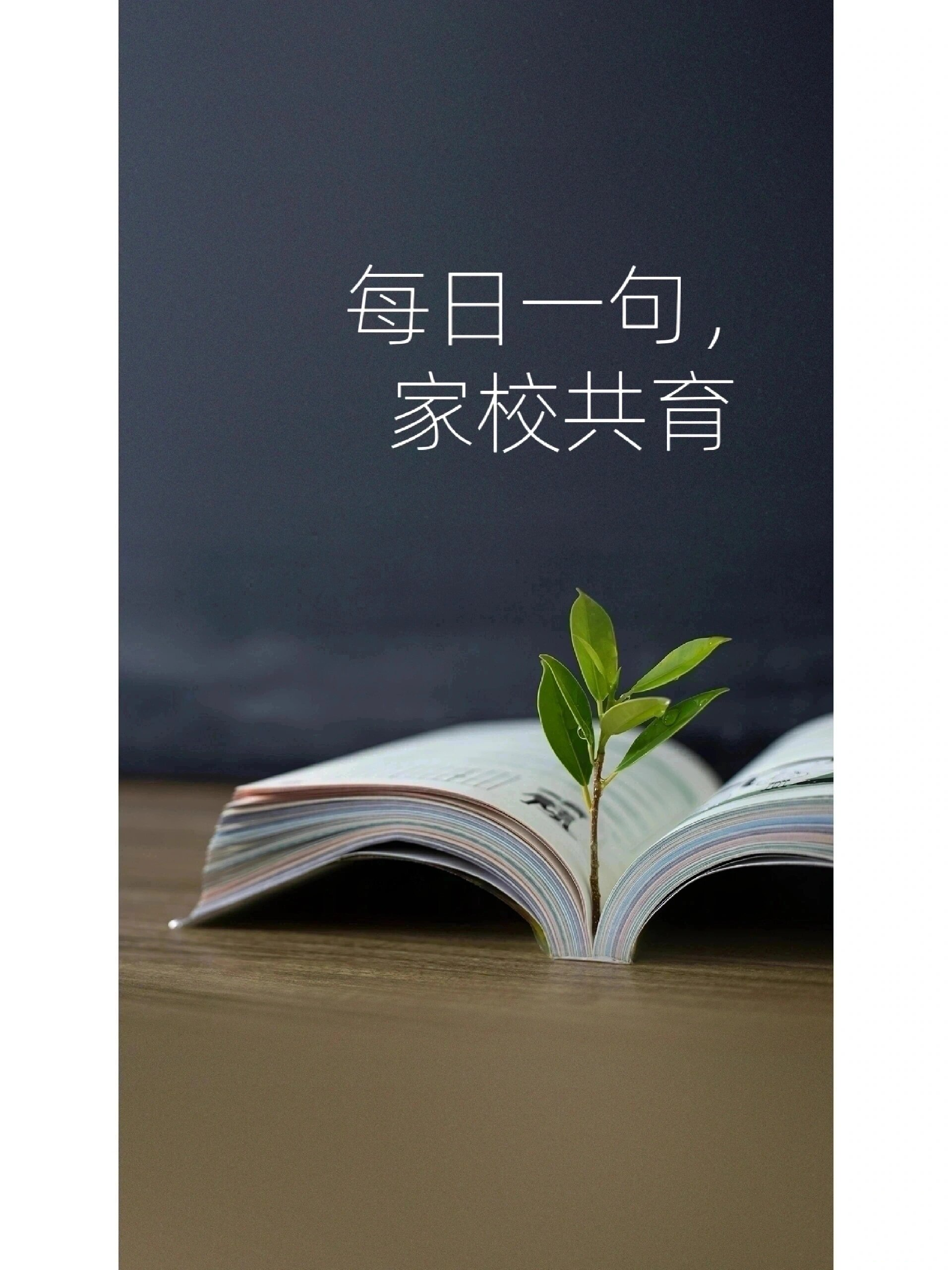 每日一句家校共育小贴士