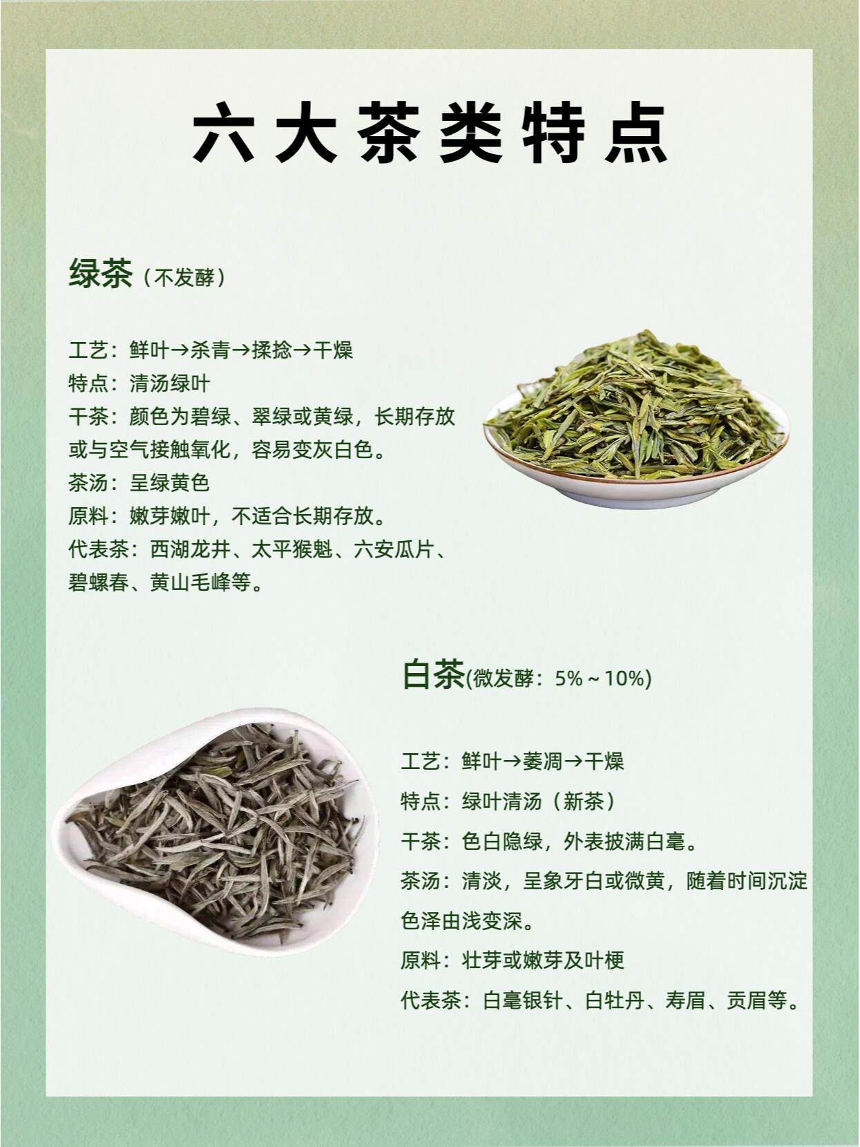 所有茶叶介绍和图片图片