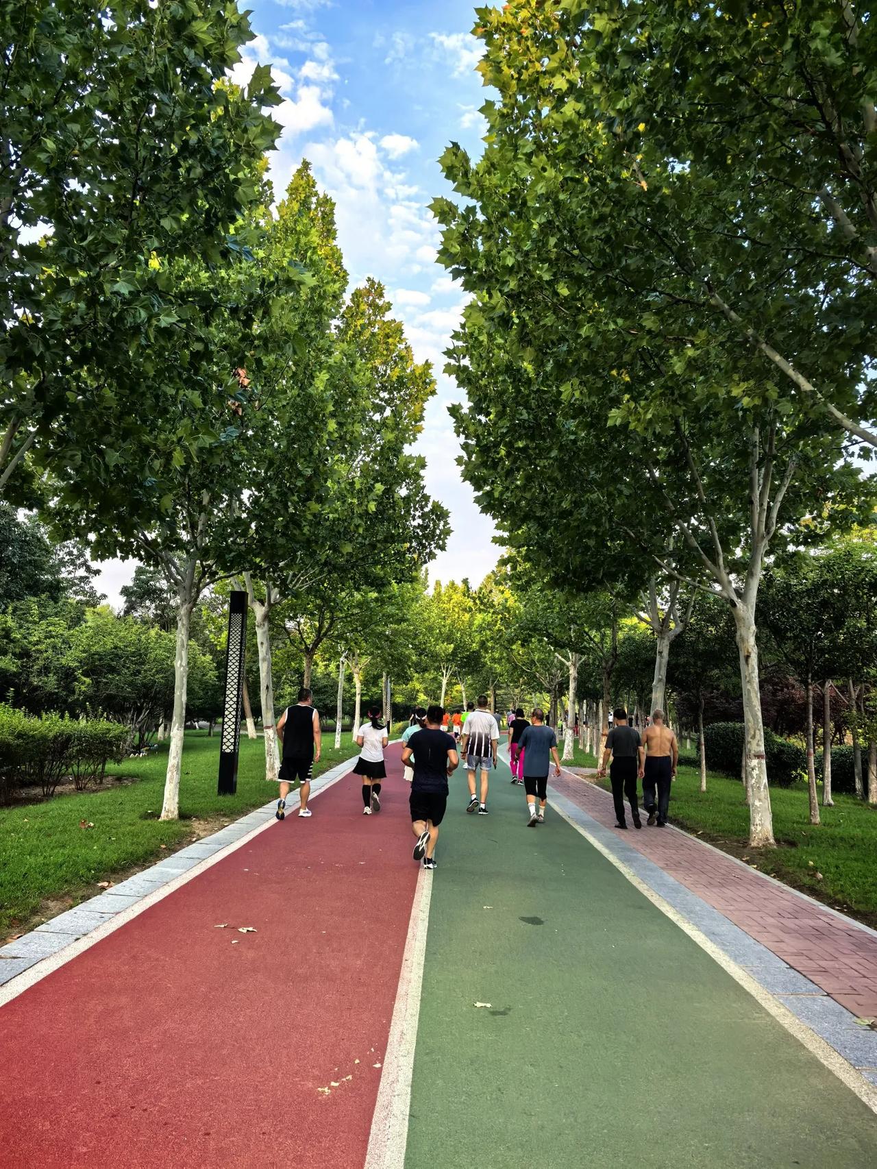 文学创作大会:全力以赴志如钢,奋勇前行路正长,汗水