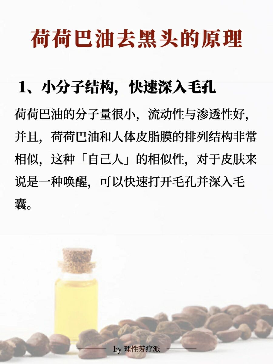 亲测有效|荷荷巴油去黑头的正确打开方式