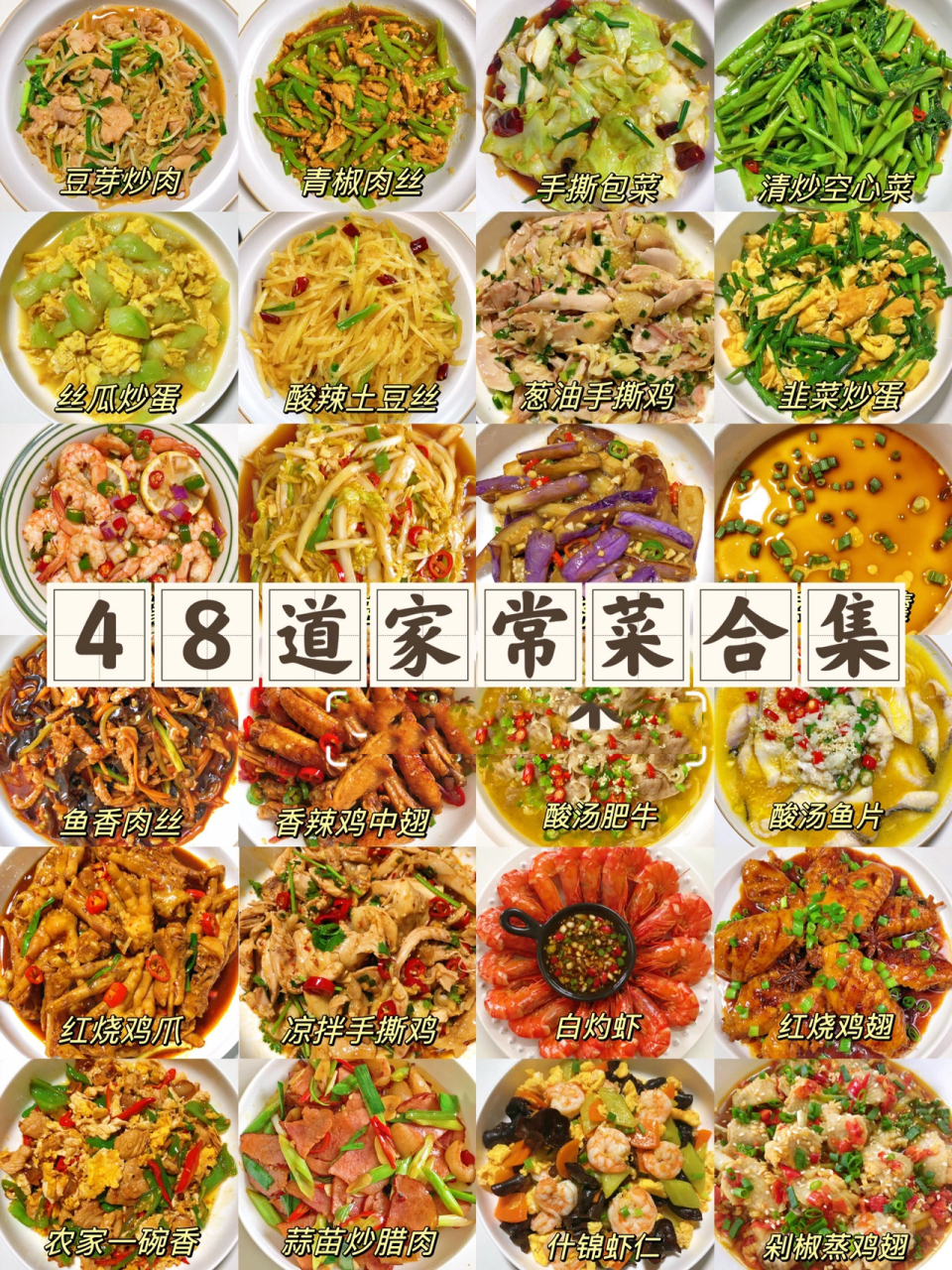 48道家常菜不重样菜谱6015家常小炒干饭必备 601548道家常菜
