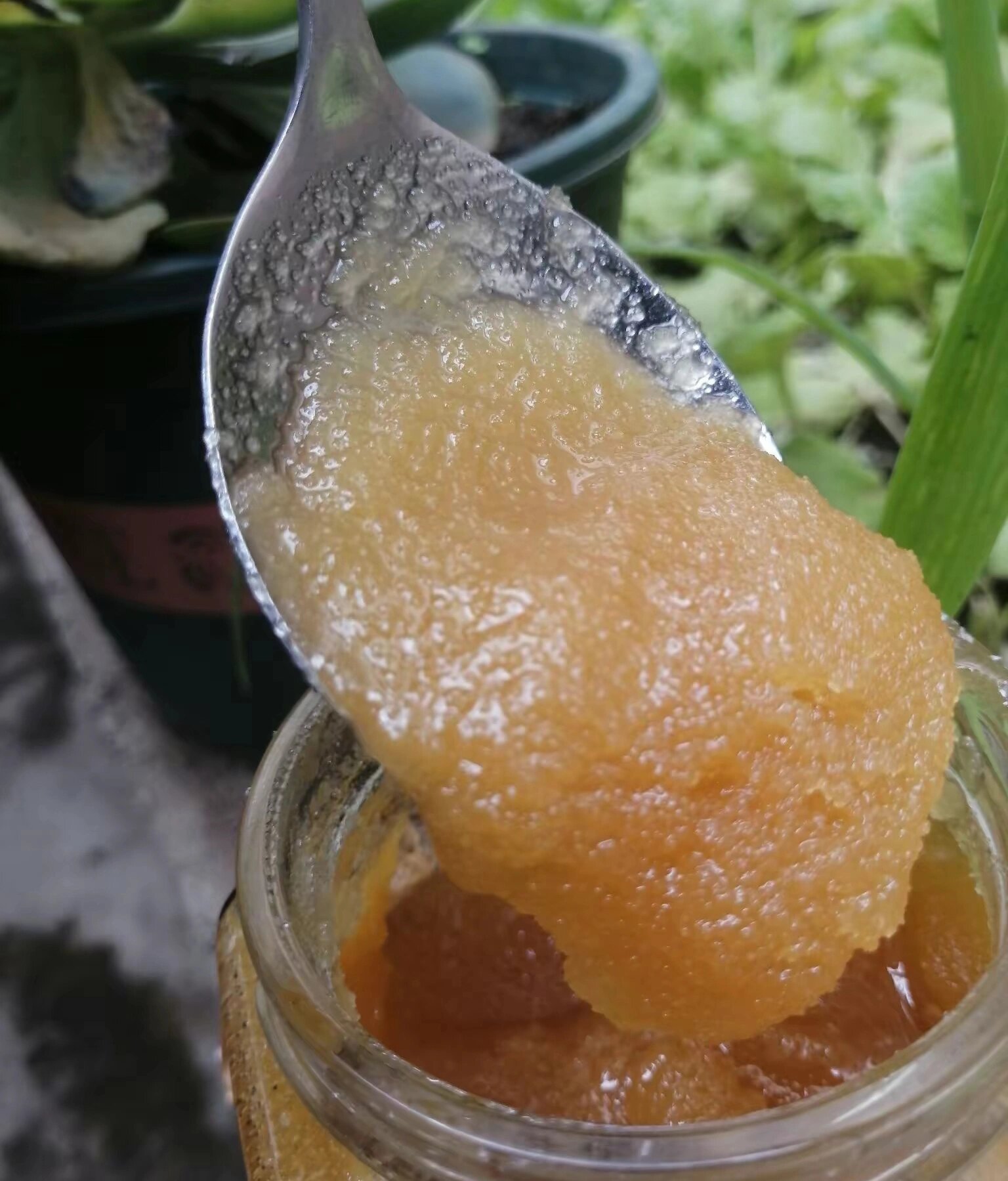 蜂蜜放了3年有点变黑还可以吃吗(蜂蜜放了3年有点变黑还可以吃吗为什么)