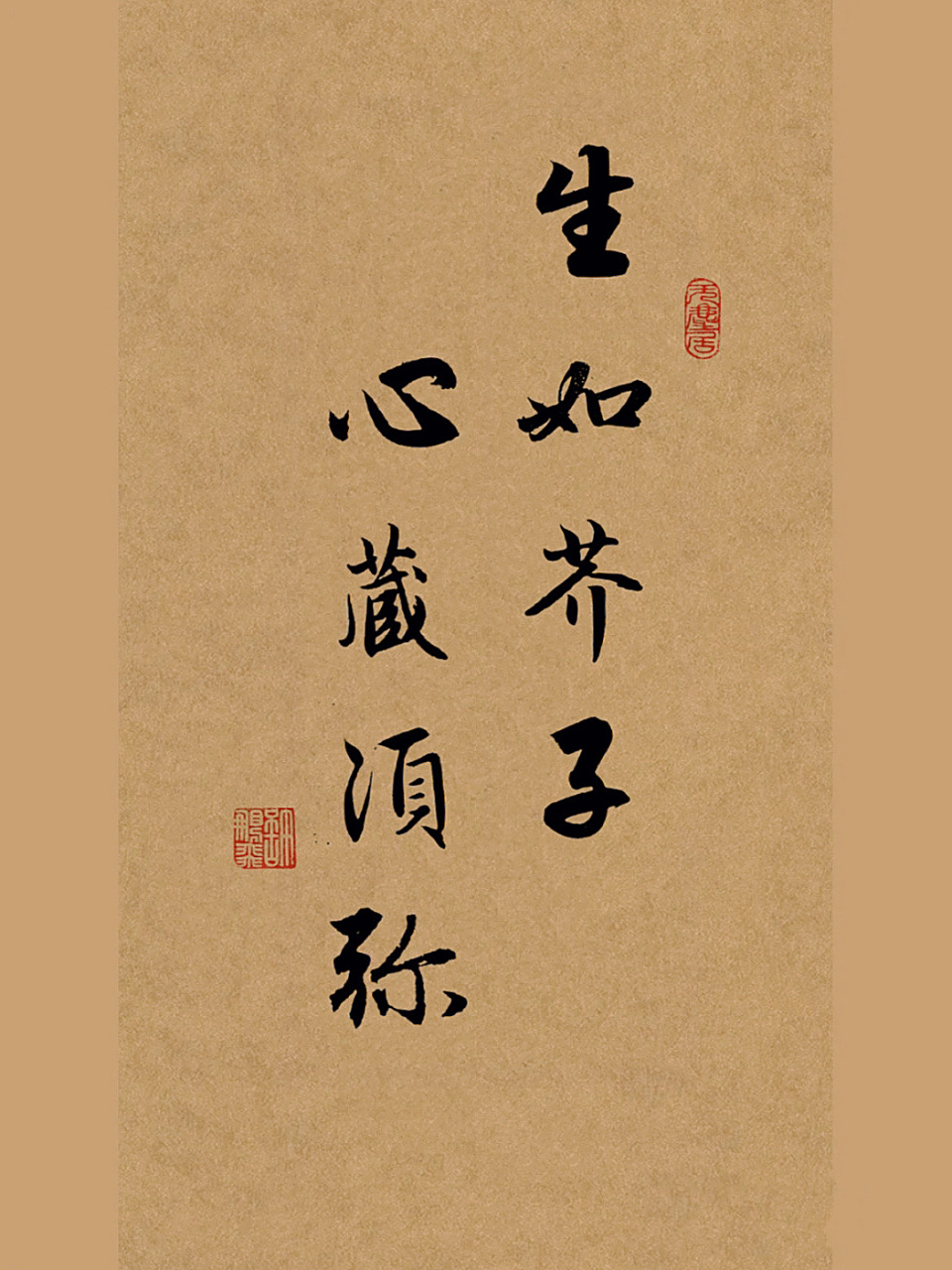 书法作品分享|行书手写|练字打卡|文案摘抄 生如芥子,心藏须弥.