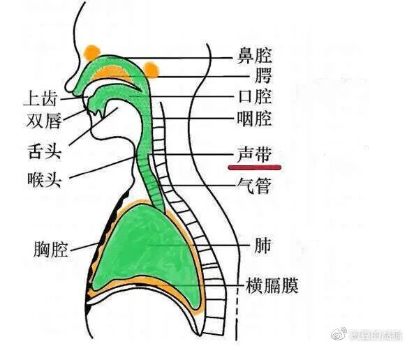 声呐示意图图片