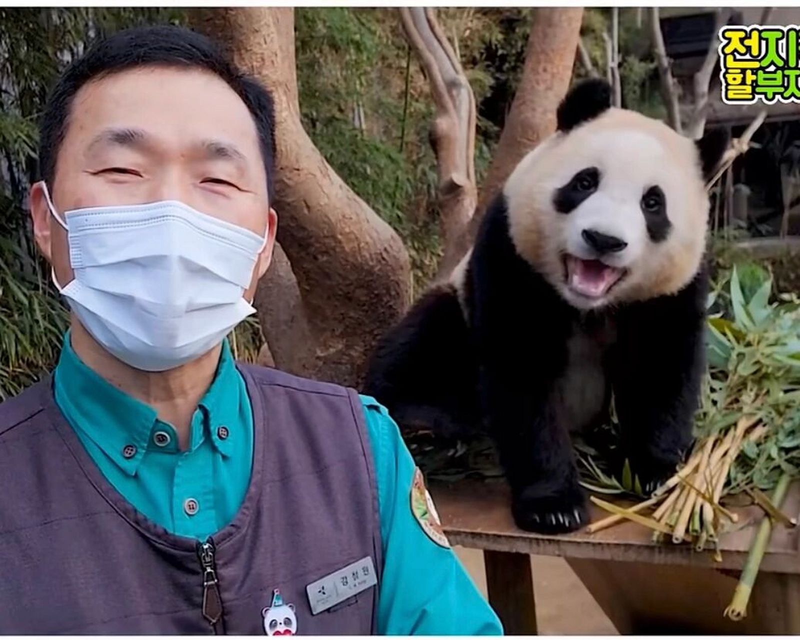 福宝和姜宝天下第一好7815珍贵照片第26615弹 每一张都想当主