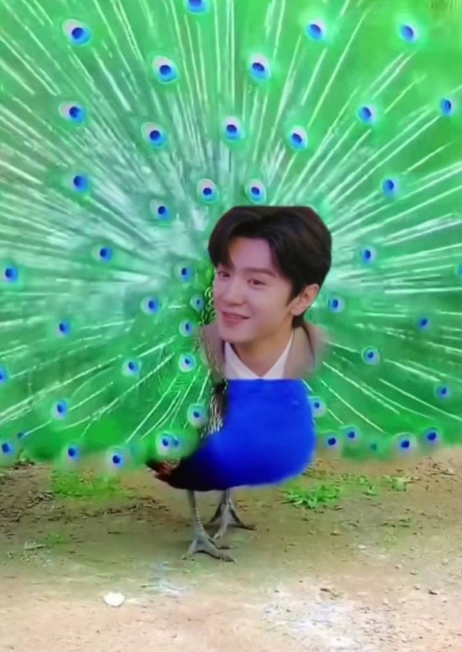 偷偷藏不住陈哲远这个图到底是谁做的呀?好形象!