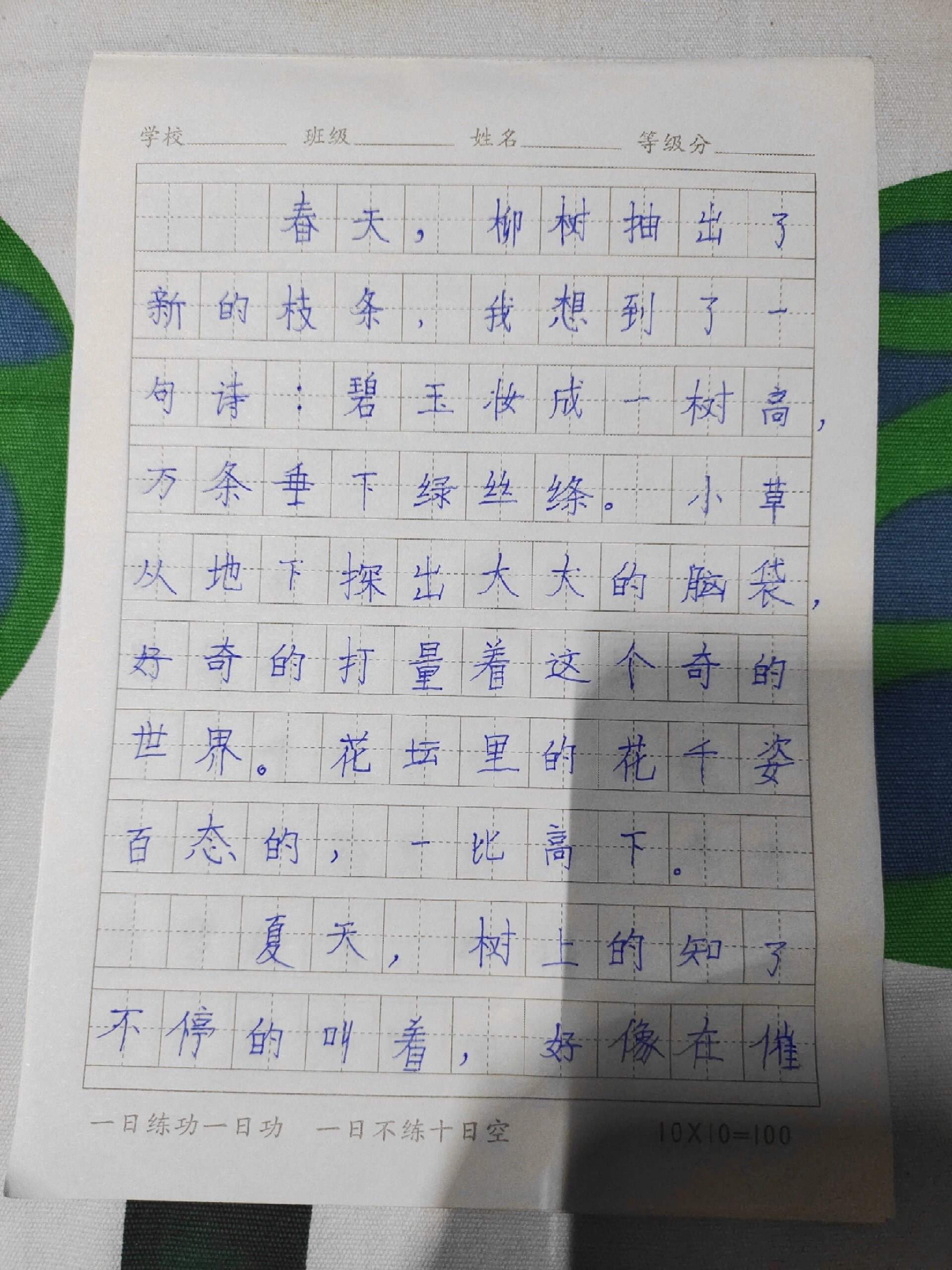 300字作文 美丽的校园图片