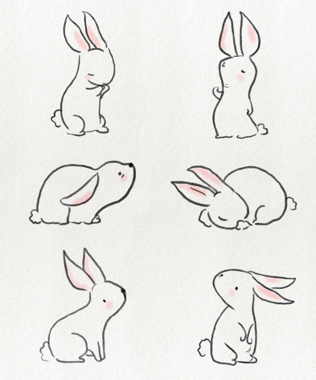 兔子吃草简笔画 可爱图片