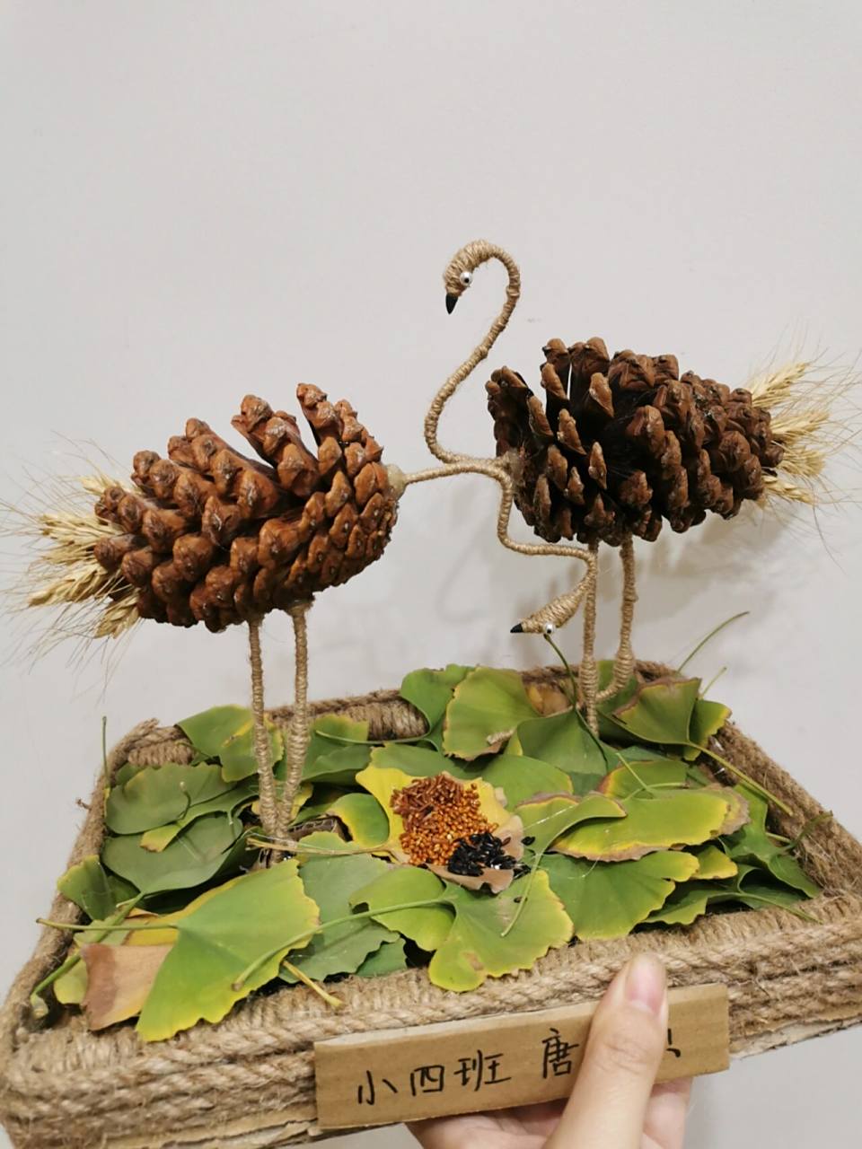 幼儿园手工 幼儿园秋天手作,松果鸵鸟,捡了些松果,用麻绳在纸板上饶几
