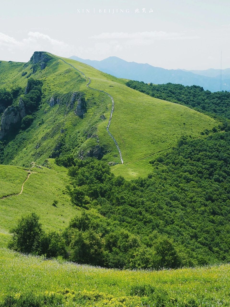 图片有版权,未经允许不得转载 	 90高山草甸: 北京周边最不缺高山
