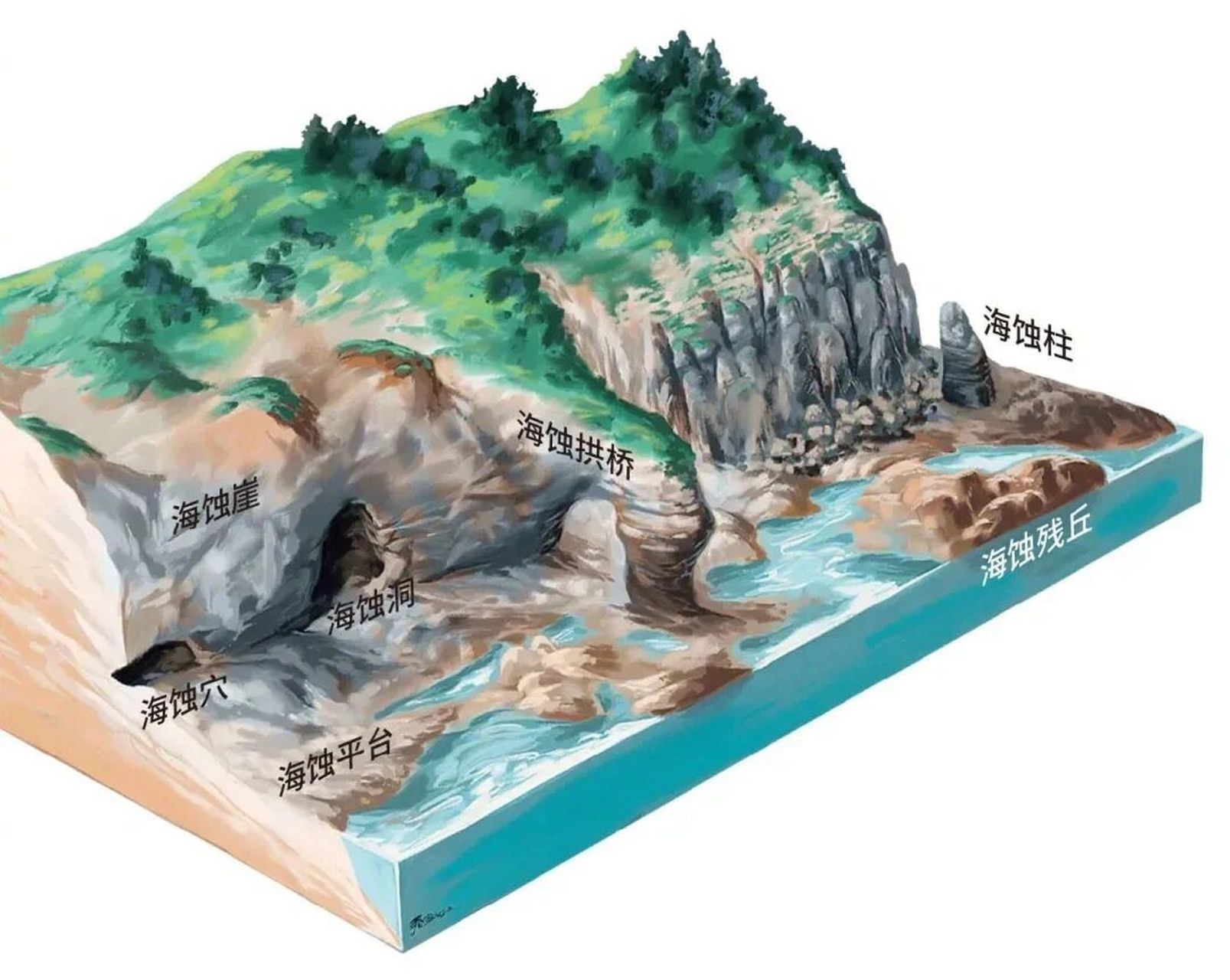 海水侵蚀地貌 海蚀地貌,是指海水运动对沿岸陆地侵蚀破坏所形成的地貌