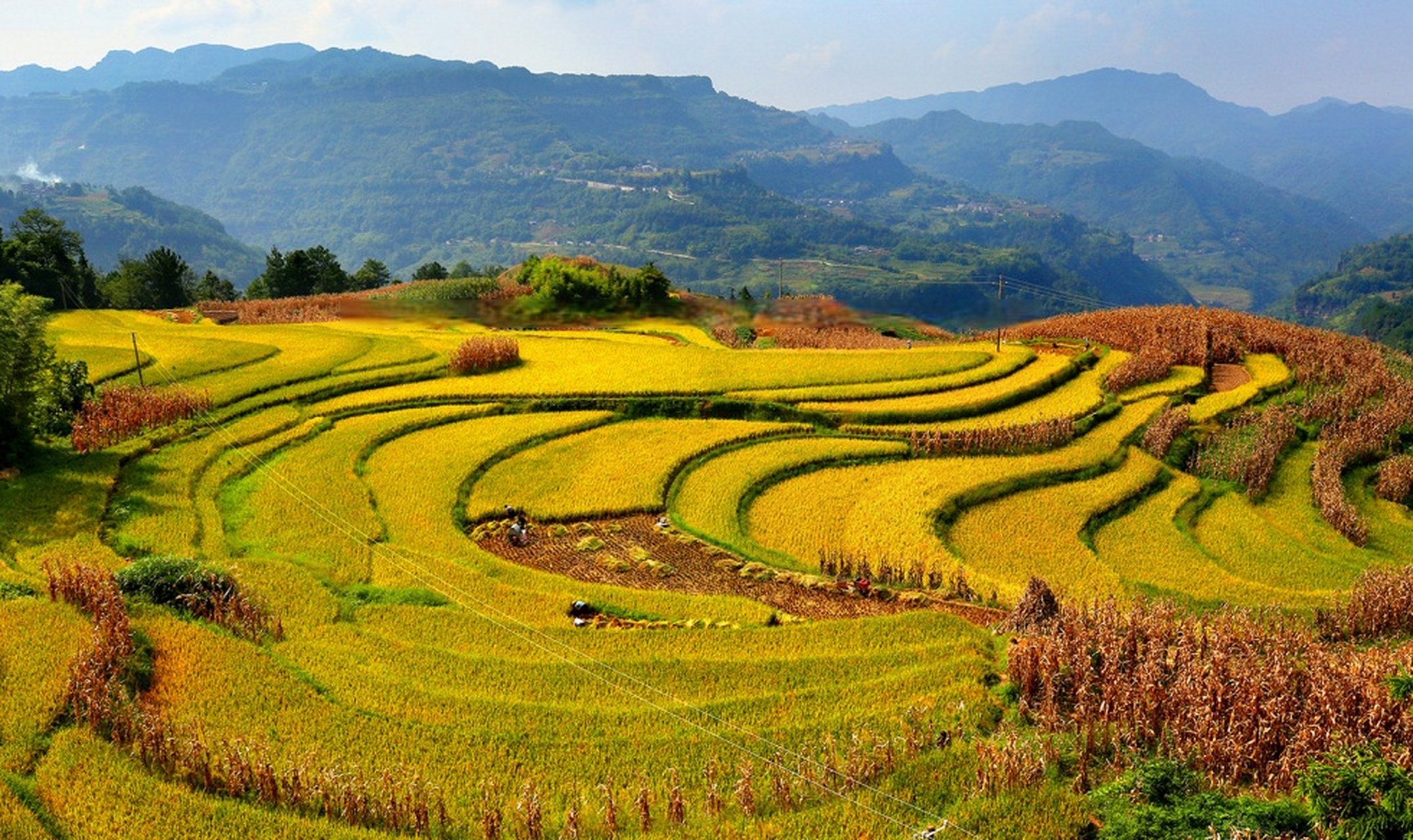 遇见湖北醉美秋色# 秋天,在湖北省利川市谋道镇长坪境内,处处洋溢着