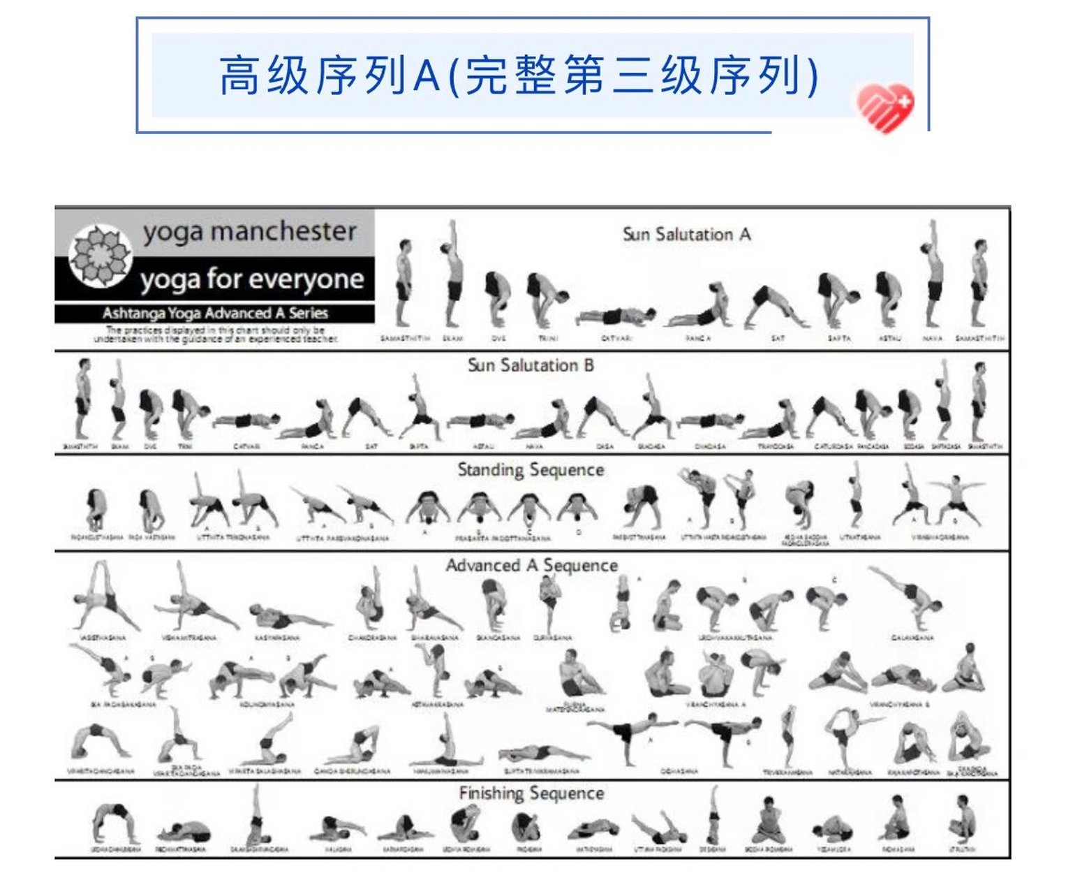 阿汤的初级体式序列图图片