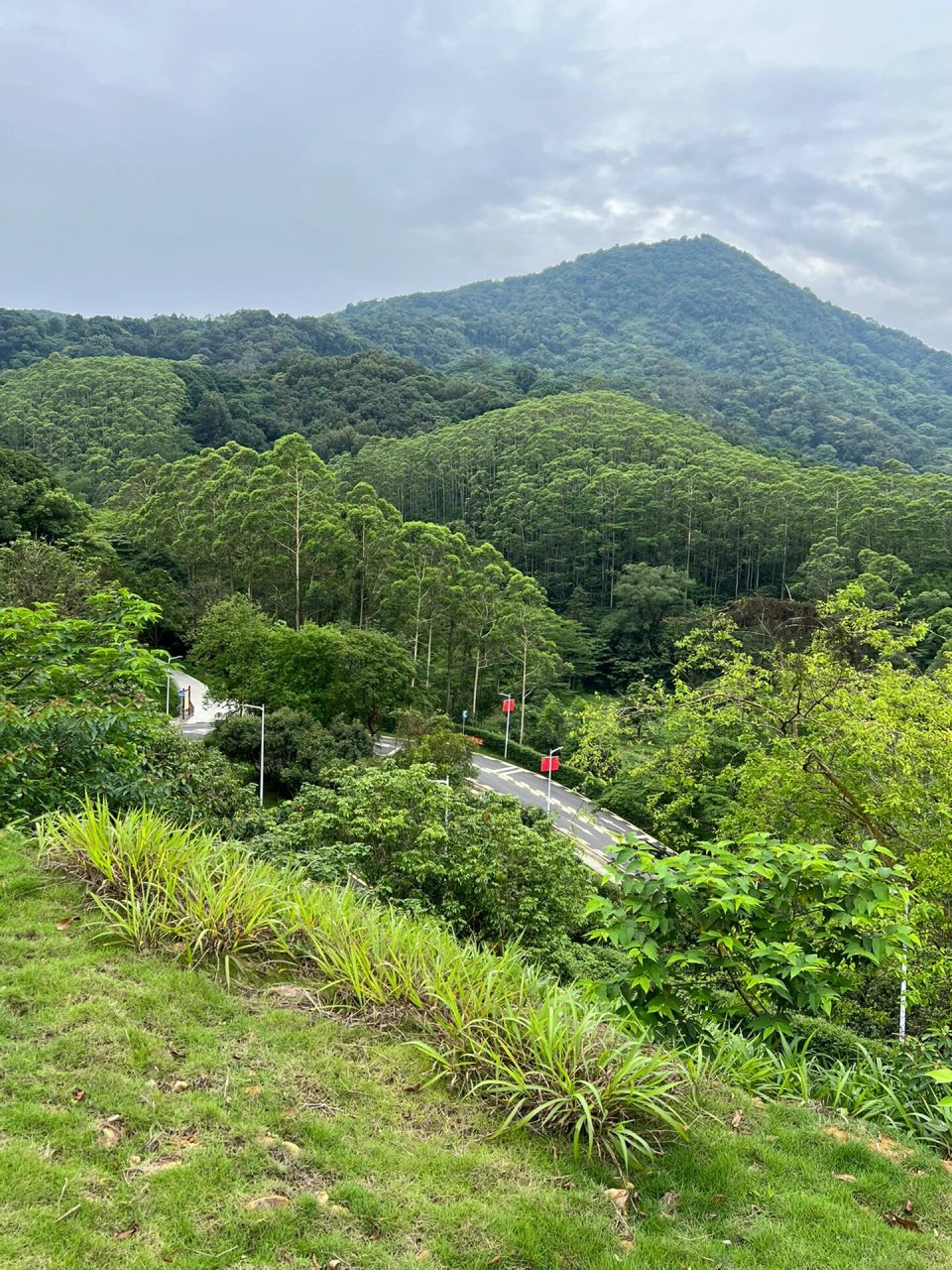 黄埔第一高峰|油麻山7215 最高峰海拔433.