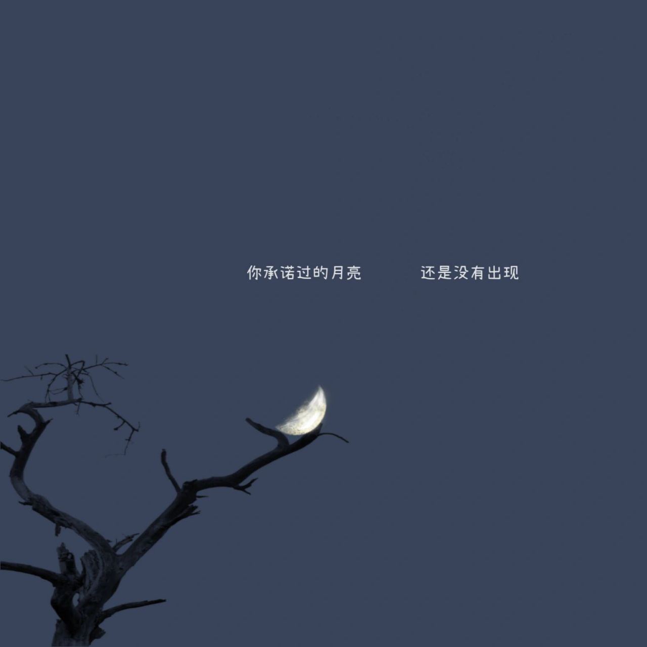 故事的开头总是极具温柔 但结尾却往往配不上整个开头 你可知我身体里