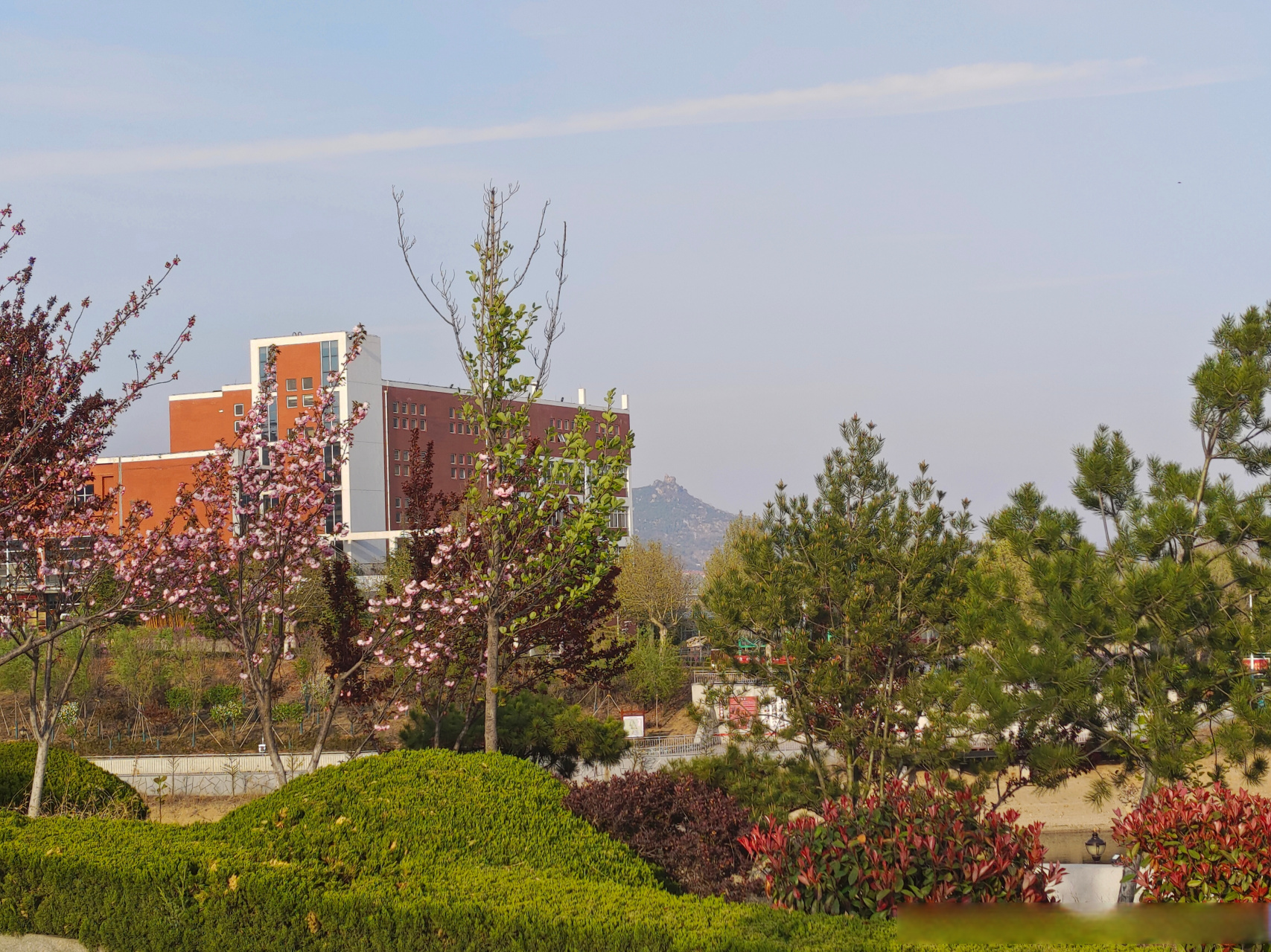 莱芜职业技术学院##莱芜职业技术学院#  无事心不空,有事心不乱,词侣