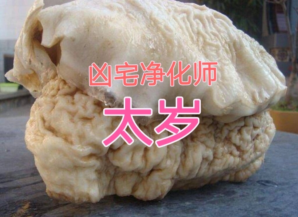 灵异阴阳知识:太岁是什么东西