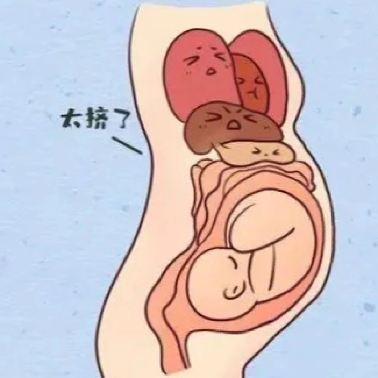 熬过孕吐,从4月开始吃一点胃就胀,没什么食欲,遇到自己比较喜欢吃的