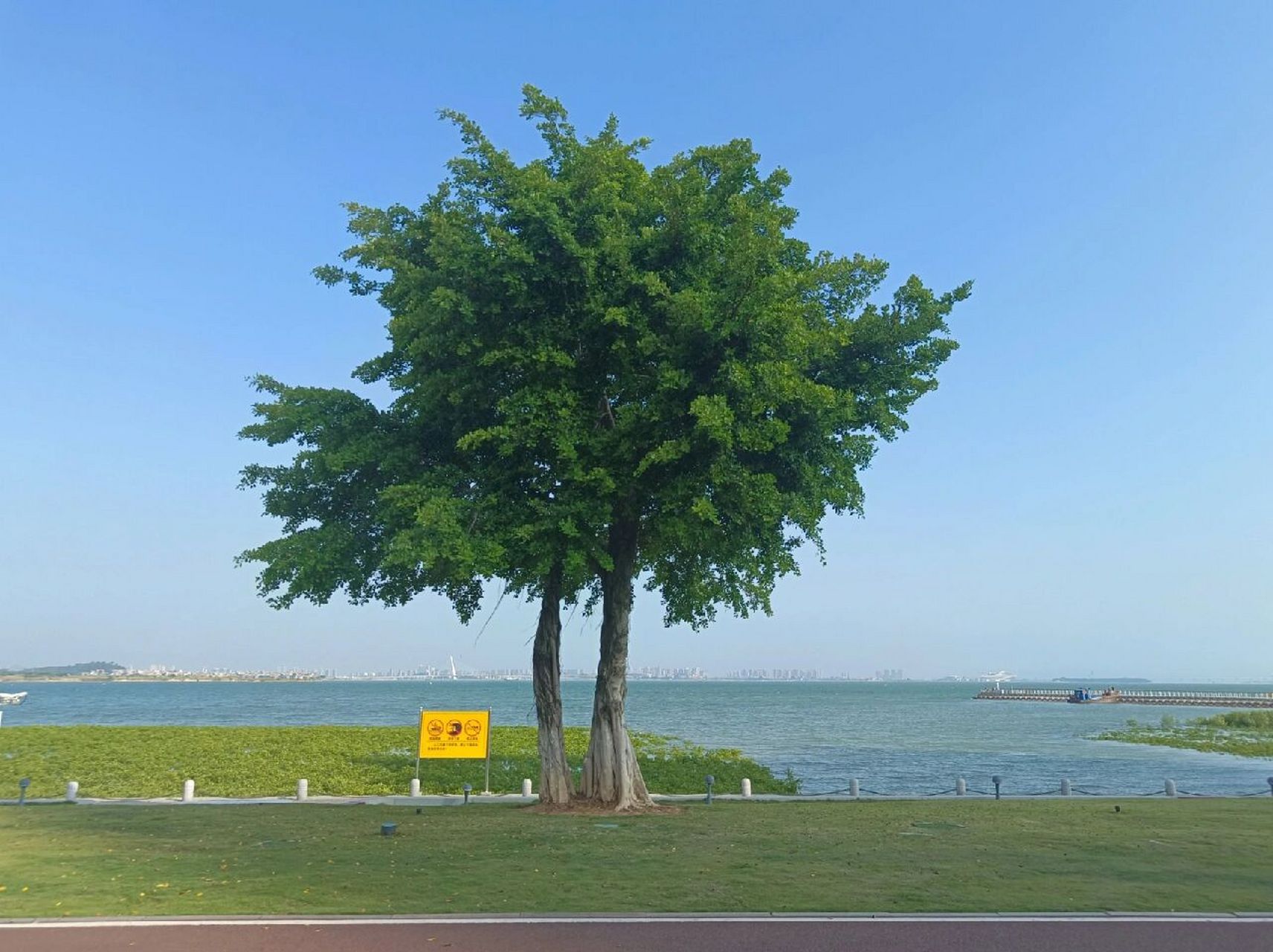 厦门彩虹沙滩92同安集美两日游91 适合搬砖人的假期逃离计划04