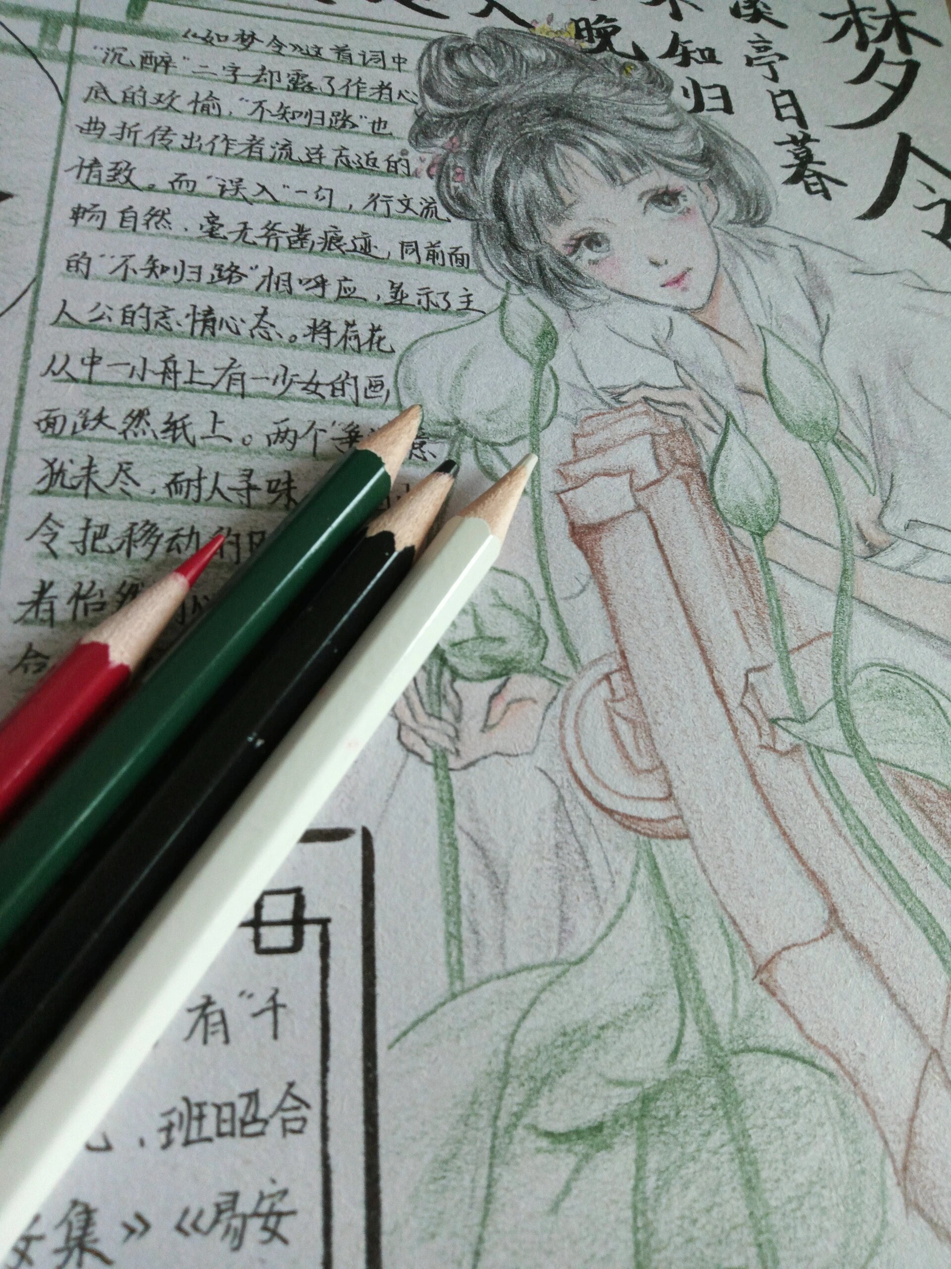 李清照手抄报